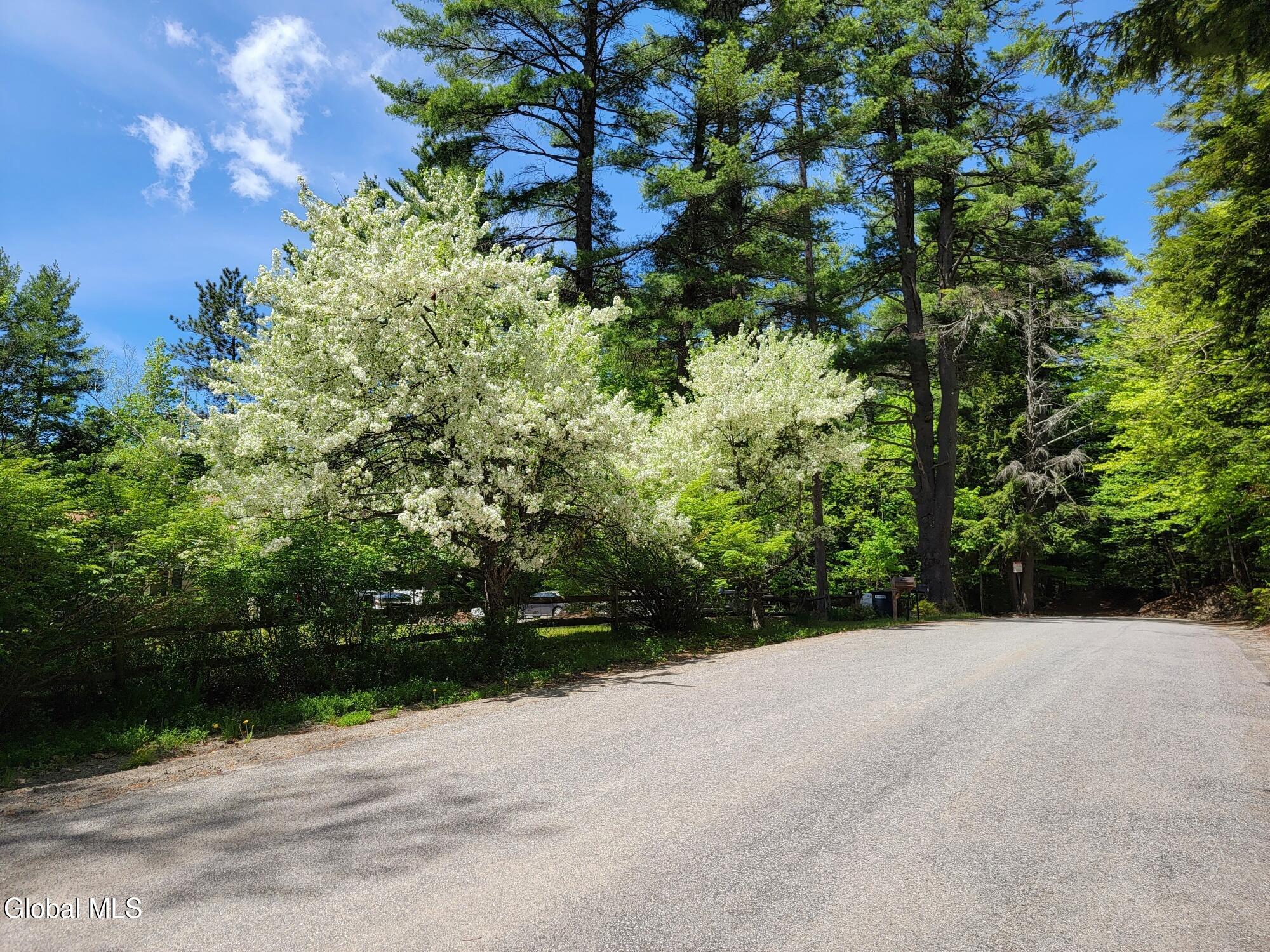 219 Old Schroon Road Pottersville NY 12860