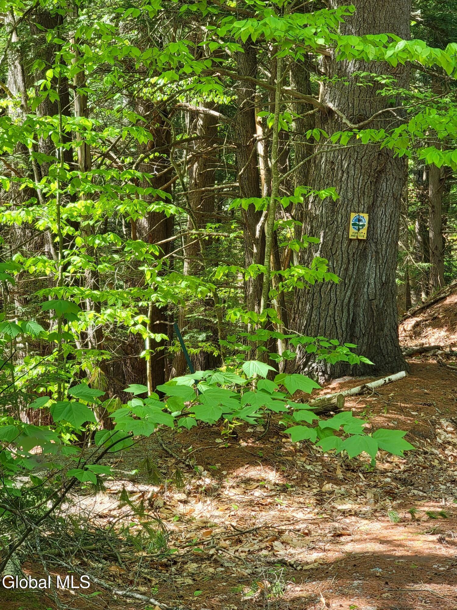 219 Old Schroon Road Pottersville NY 12860