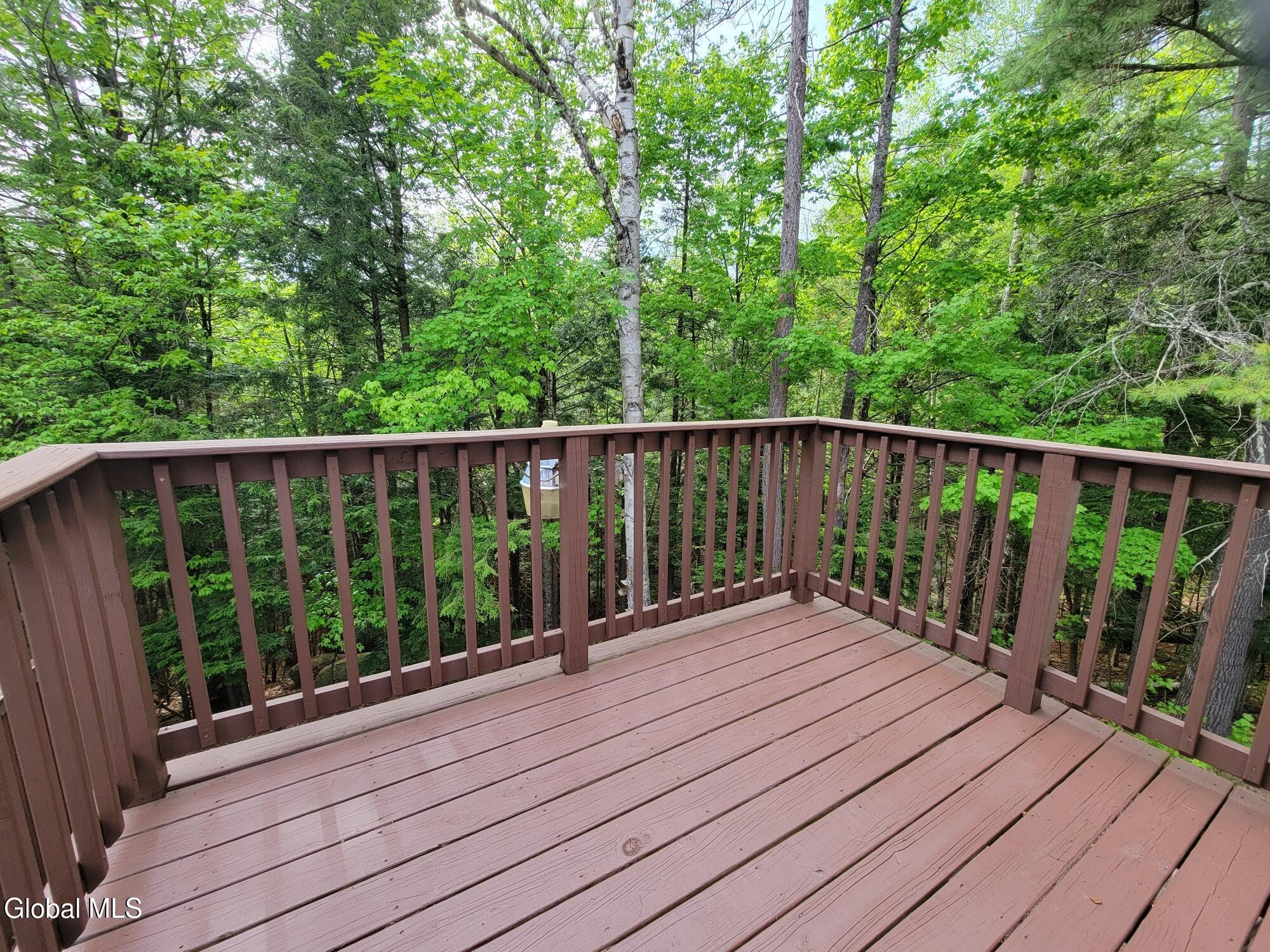 219 Old Schroon Road Pottersville NY 12860