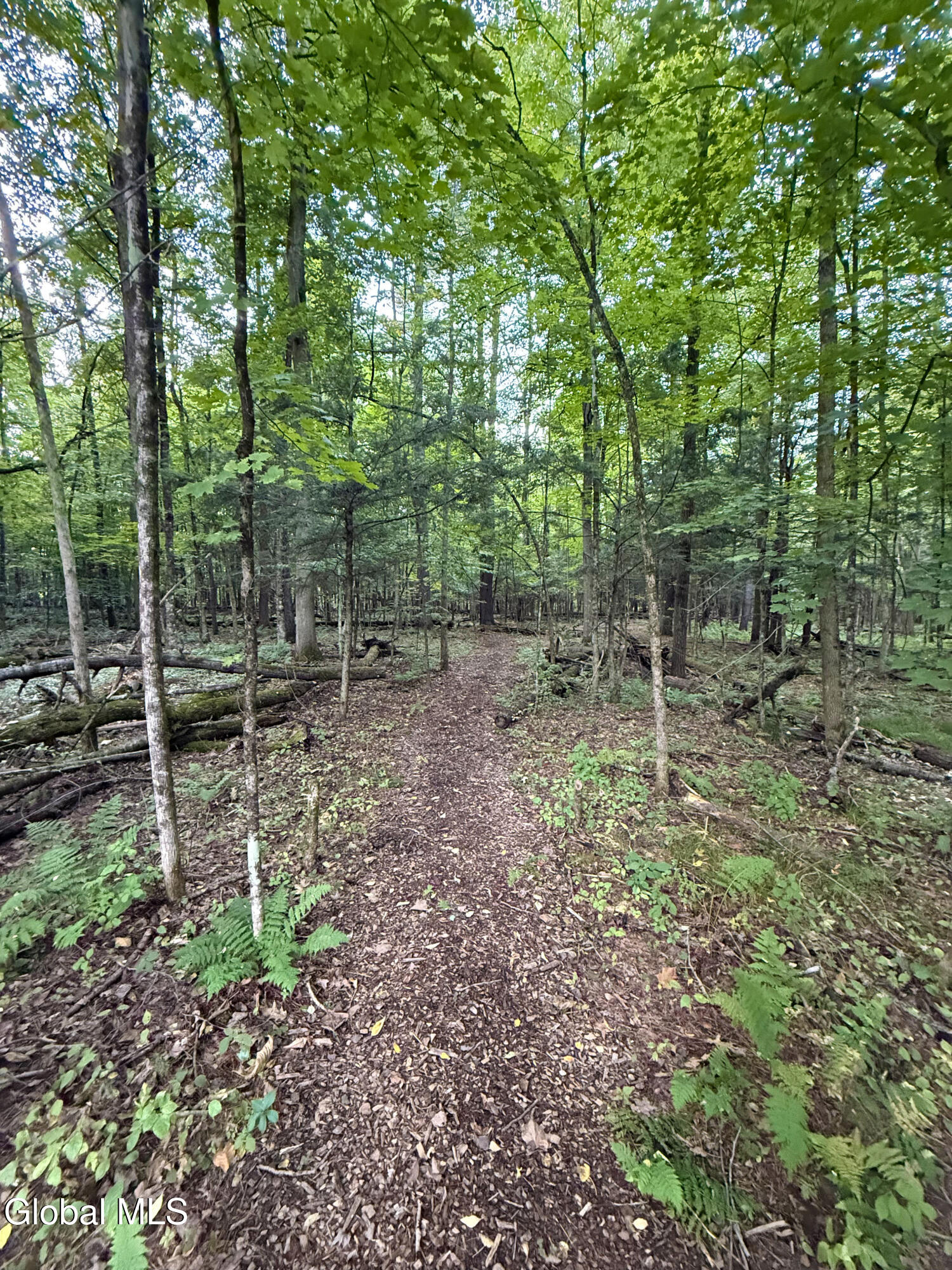 317 County Highway 110 Broadalbin NY 12025