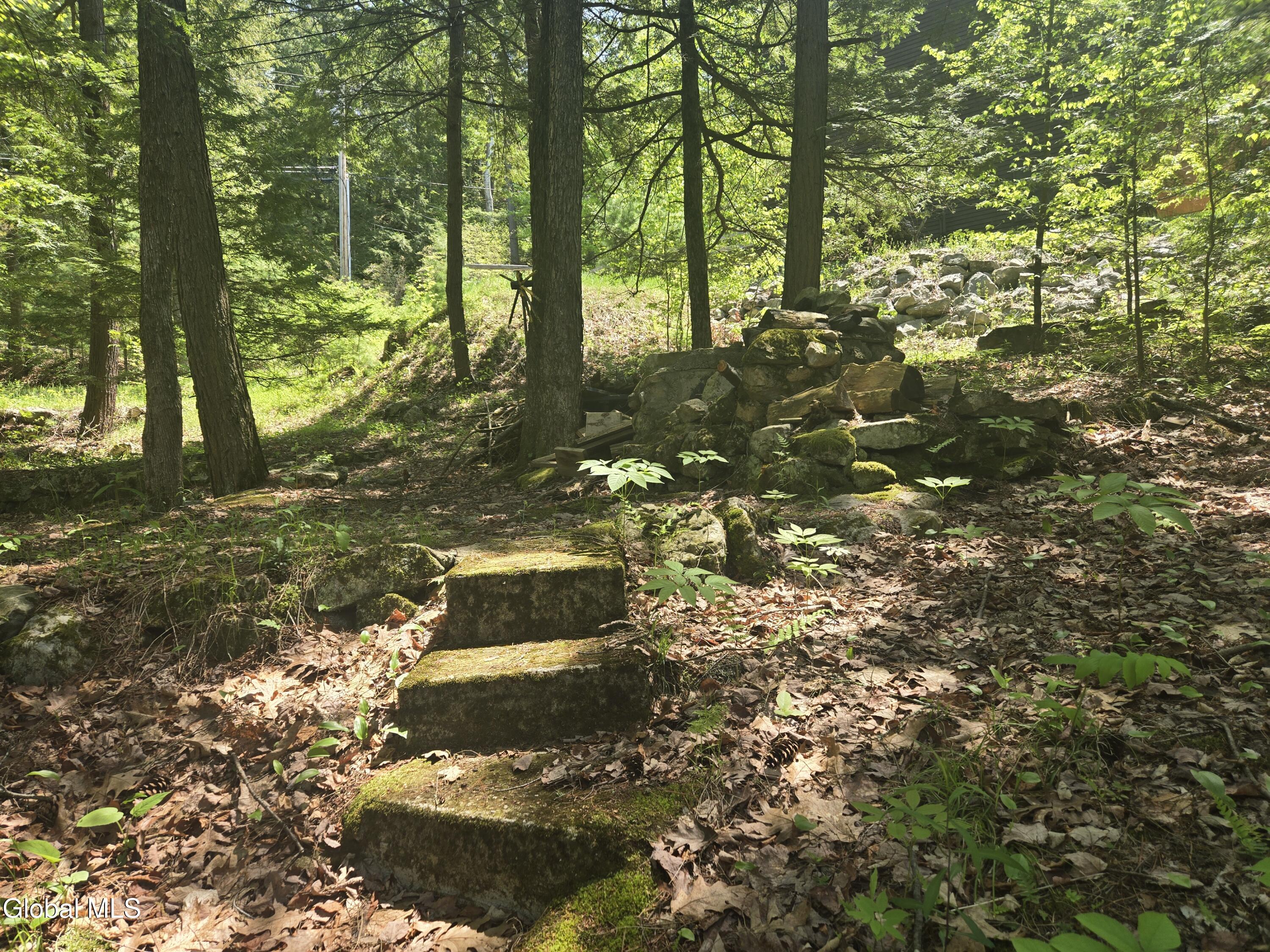 5317 .8 Mile Way Putnam NY 12861