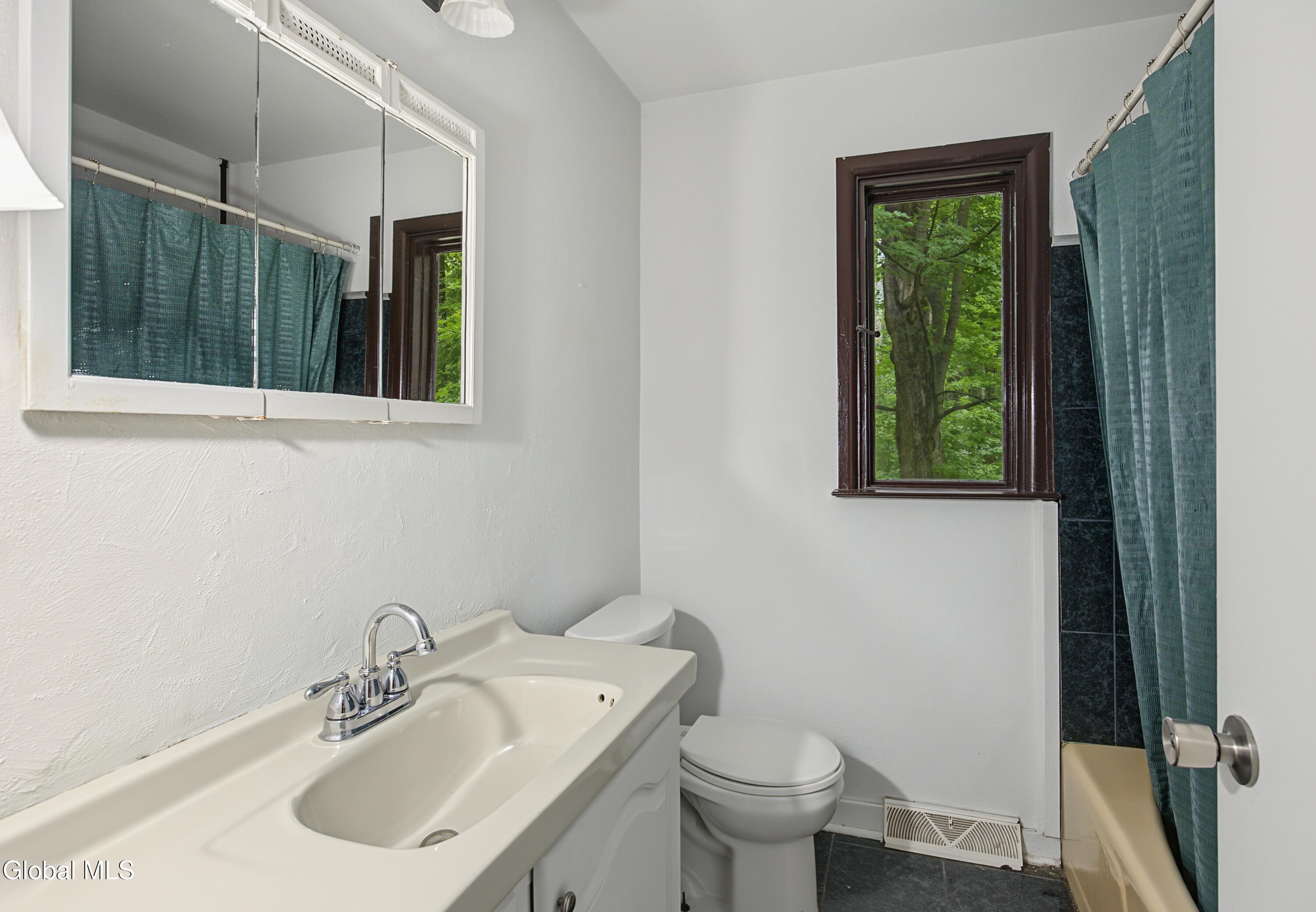 35 Wildwood Lane Selkirk NY 12158