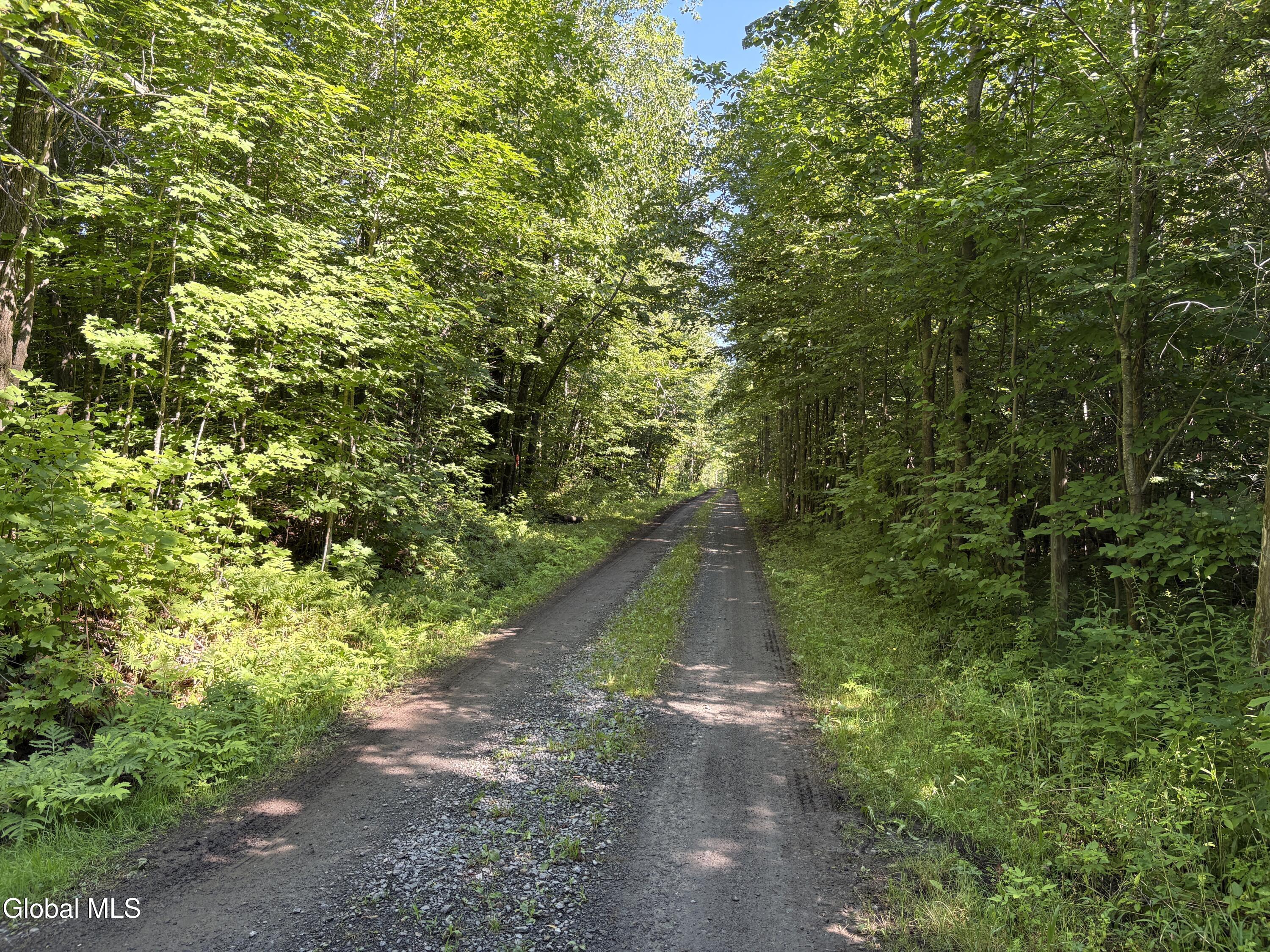 811 Drown Road Ellenburg Depot NY 12958