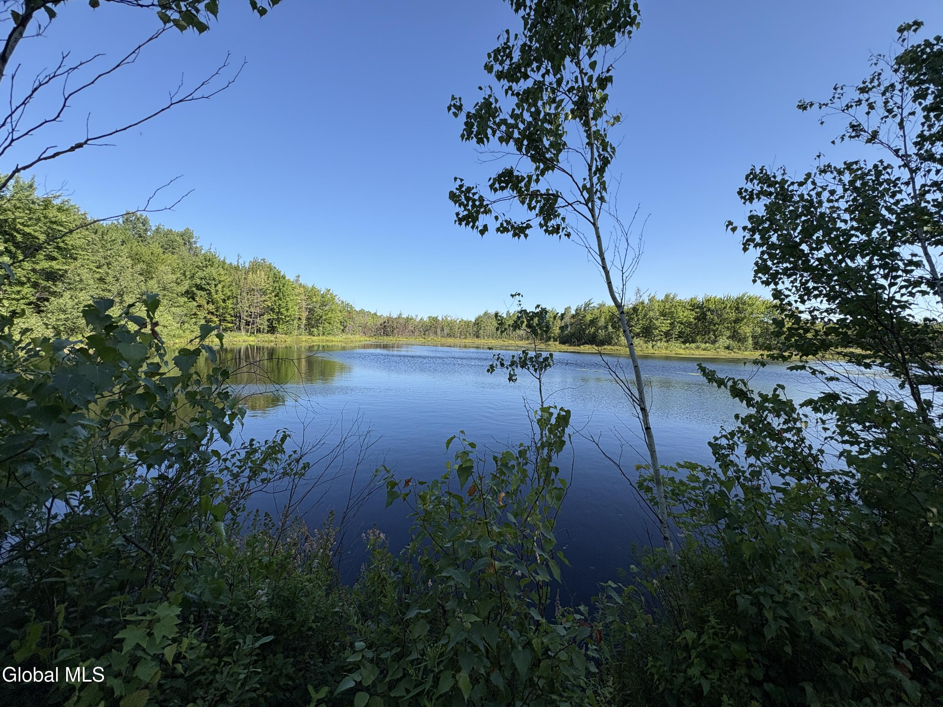 811 Drown Road Ellenburg Depot NY 12958