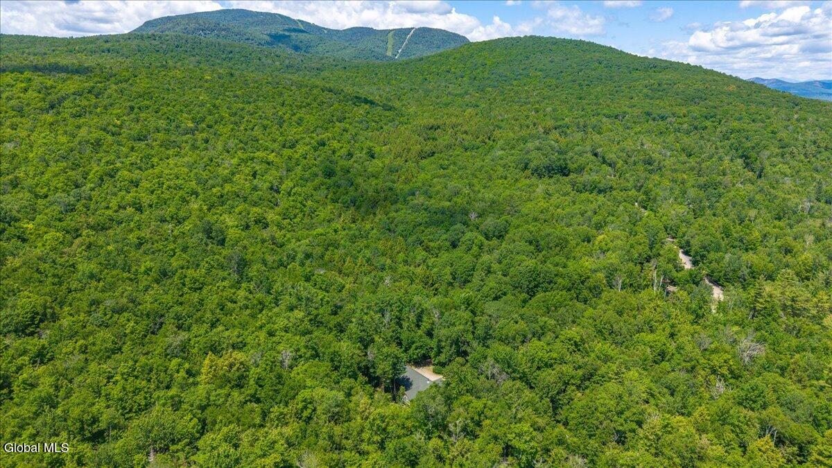 69 Chatiemac Trail North Creek NY 12853