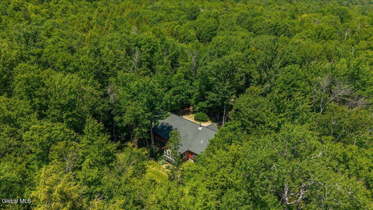69 Chatiemac Trail North Creek NY 12853