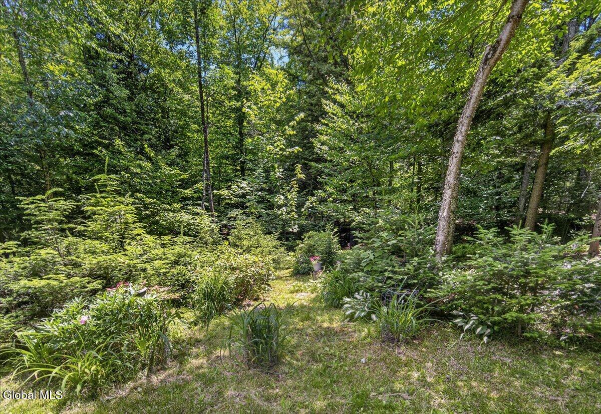 69 Chatiemac Trail North Creek NY 12853