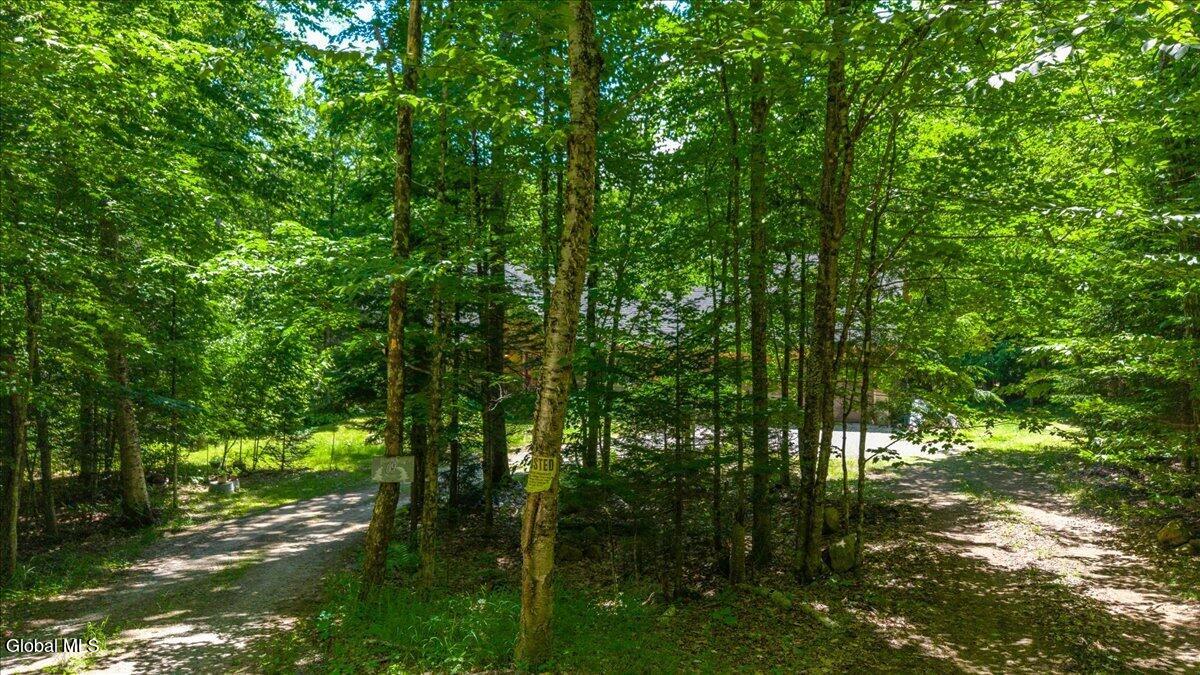 69 Chatiemac Trail North Creek NY 12853