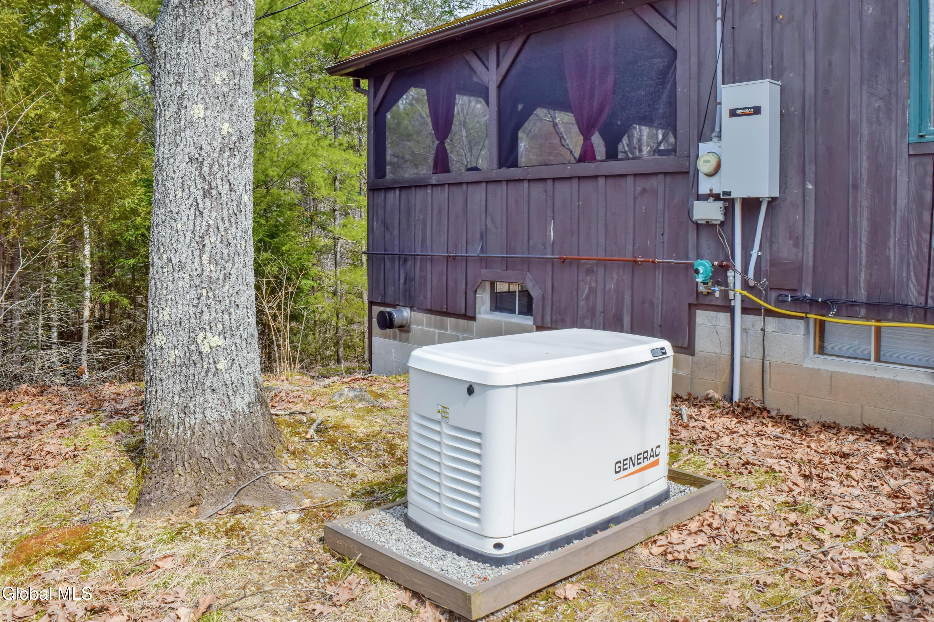 65 Donnelly Road Olmstedville NY 12857