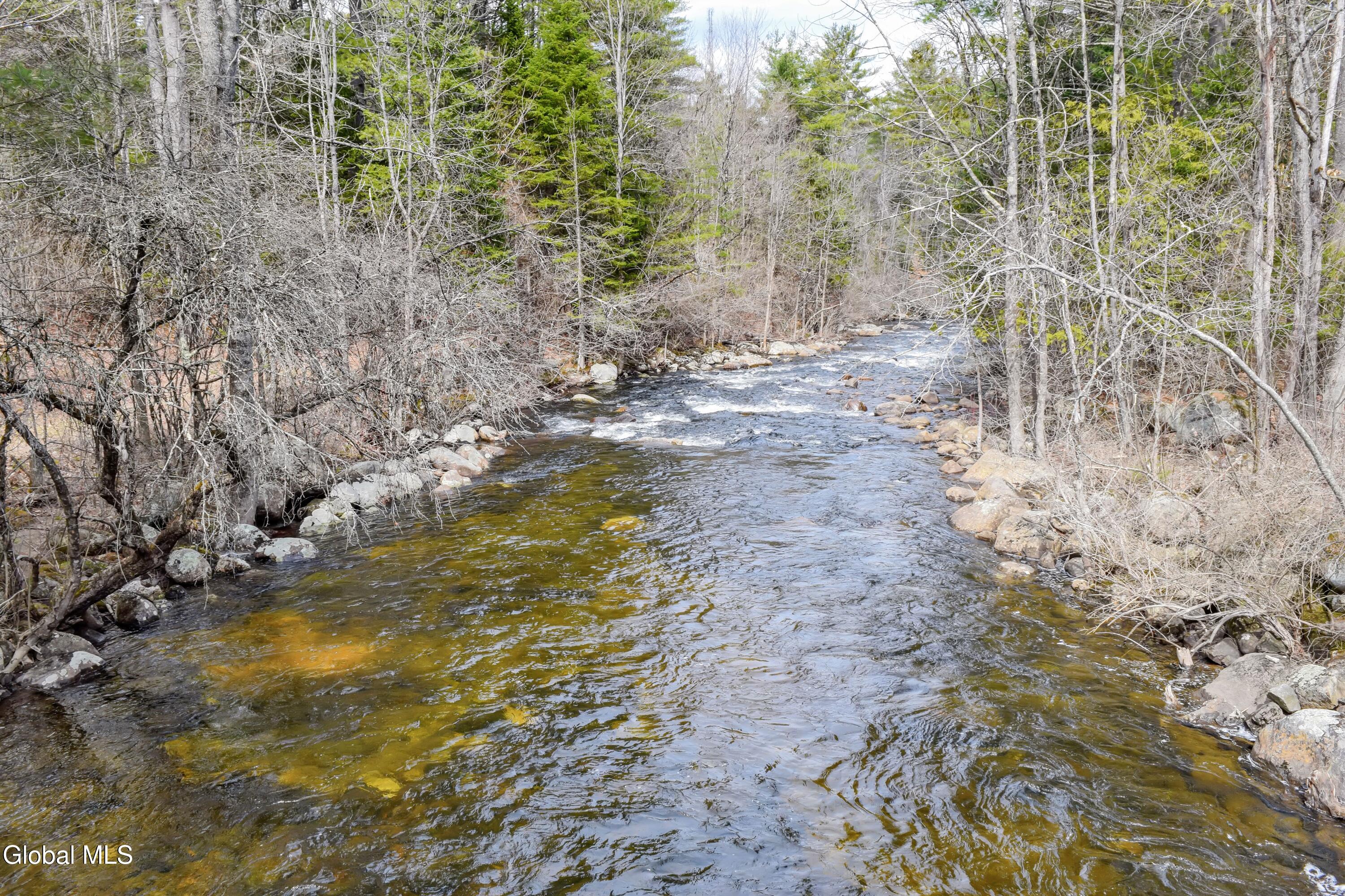65 Donnelly Road Olmstedville NY 12857
