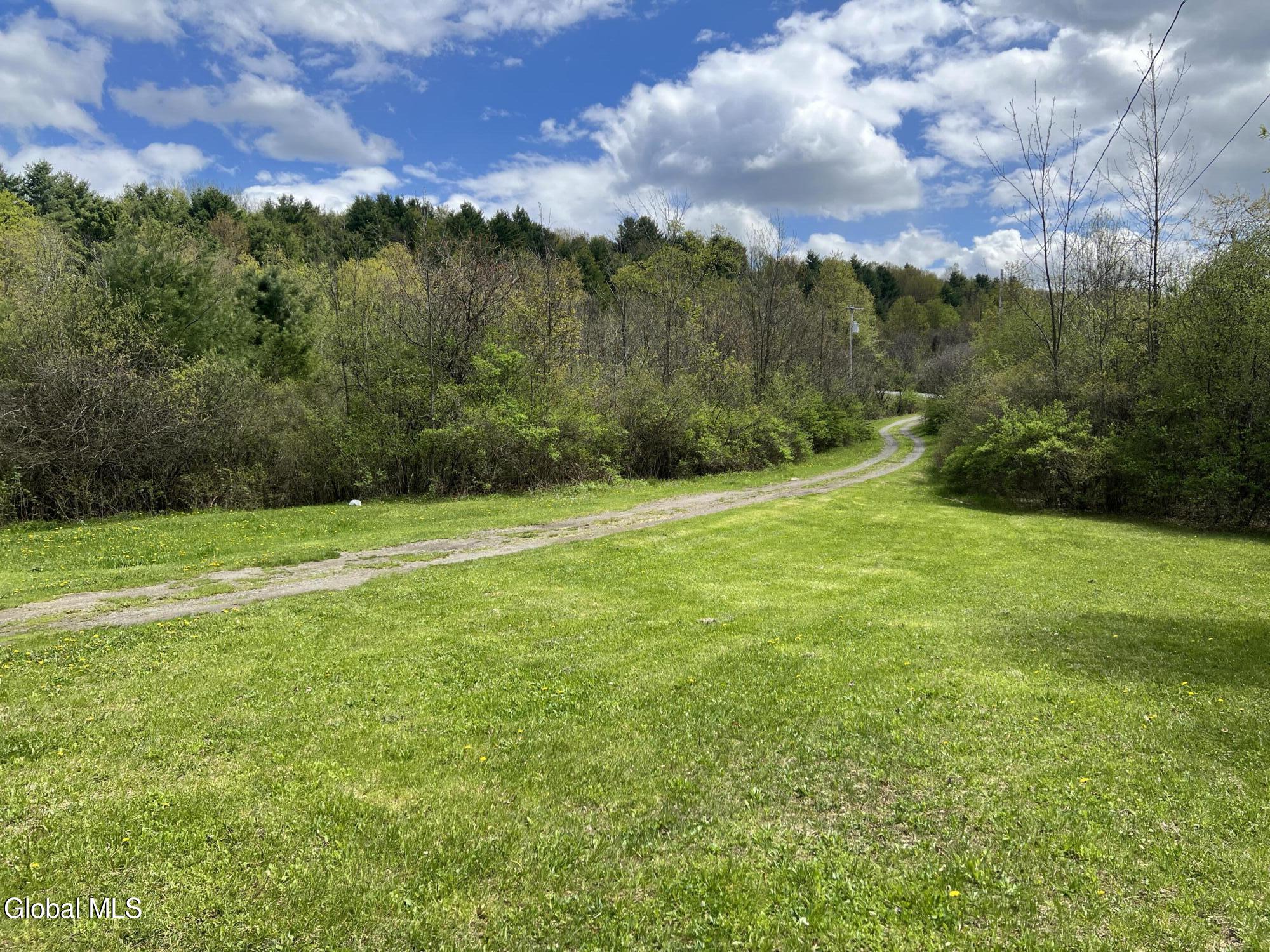 10 Perry Lane Whitehall NY 12887