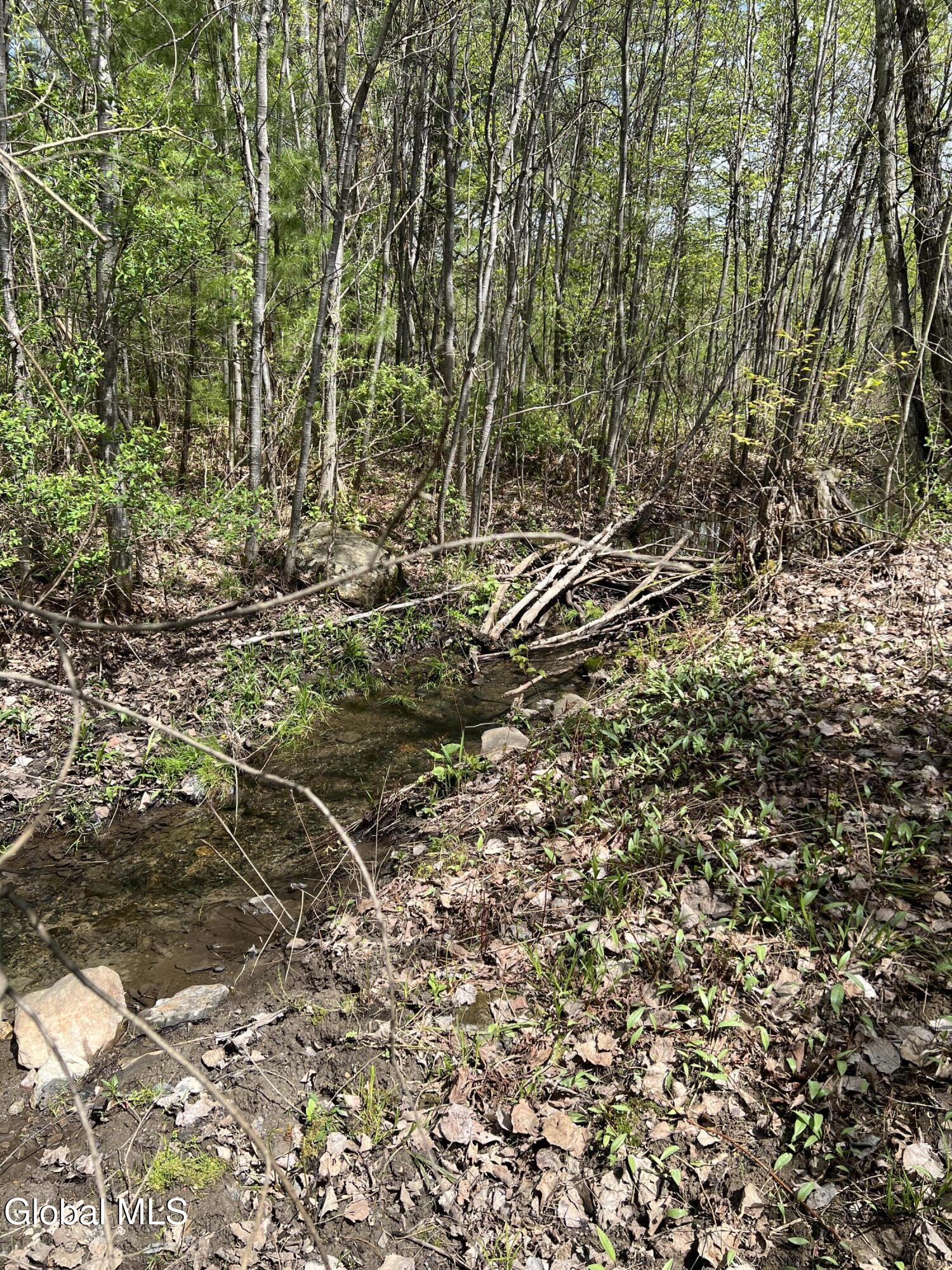 10 Perry Lane Whitehall NY 12887