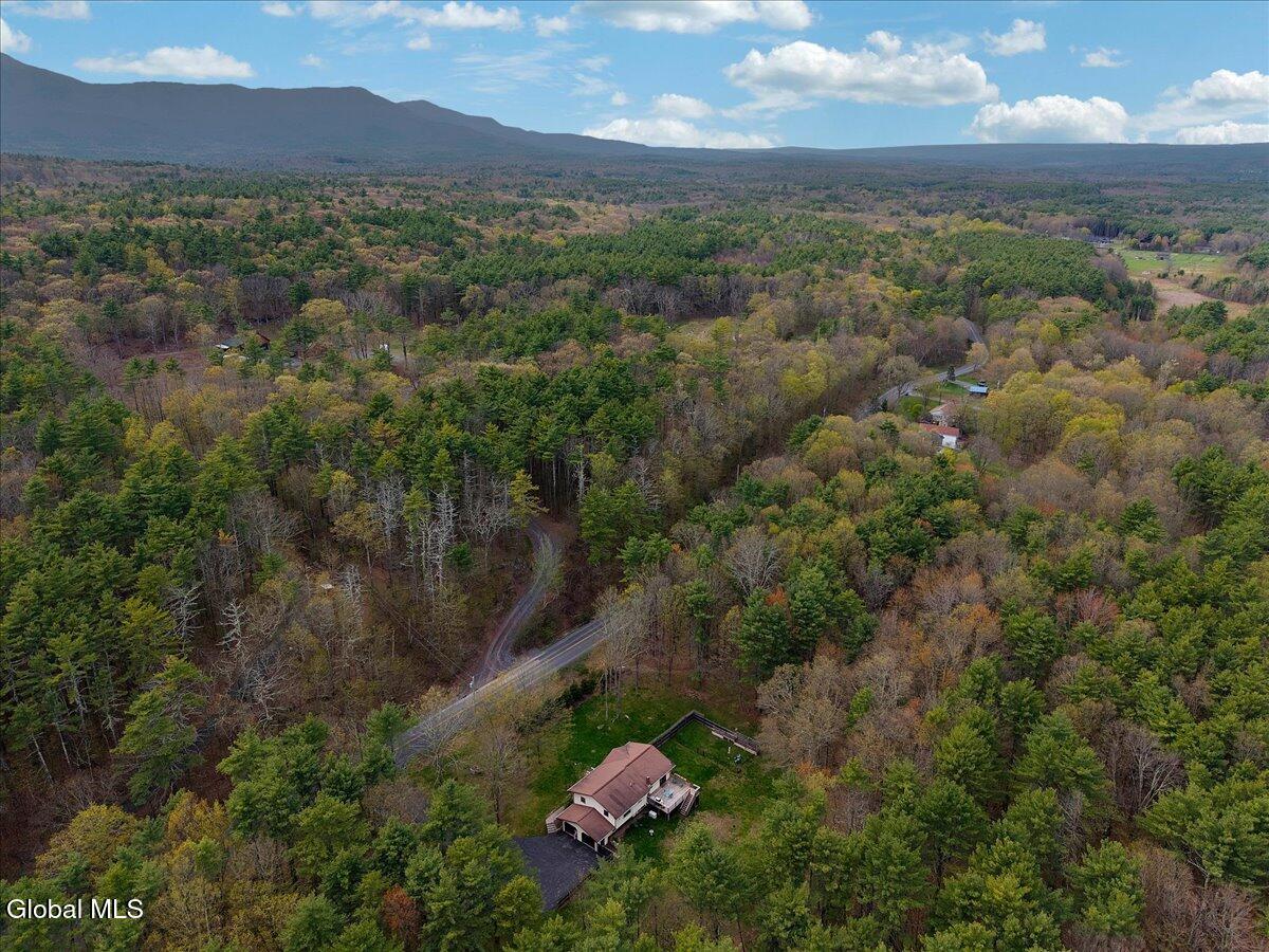 478 Joel M Austin Road Purling NY 12413