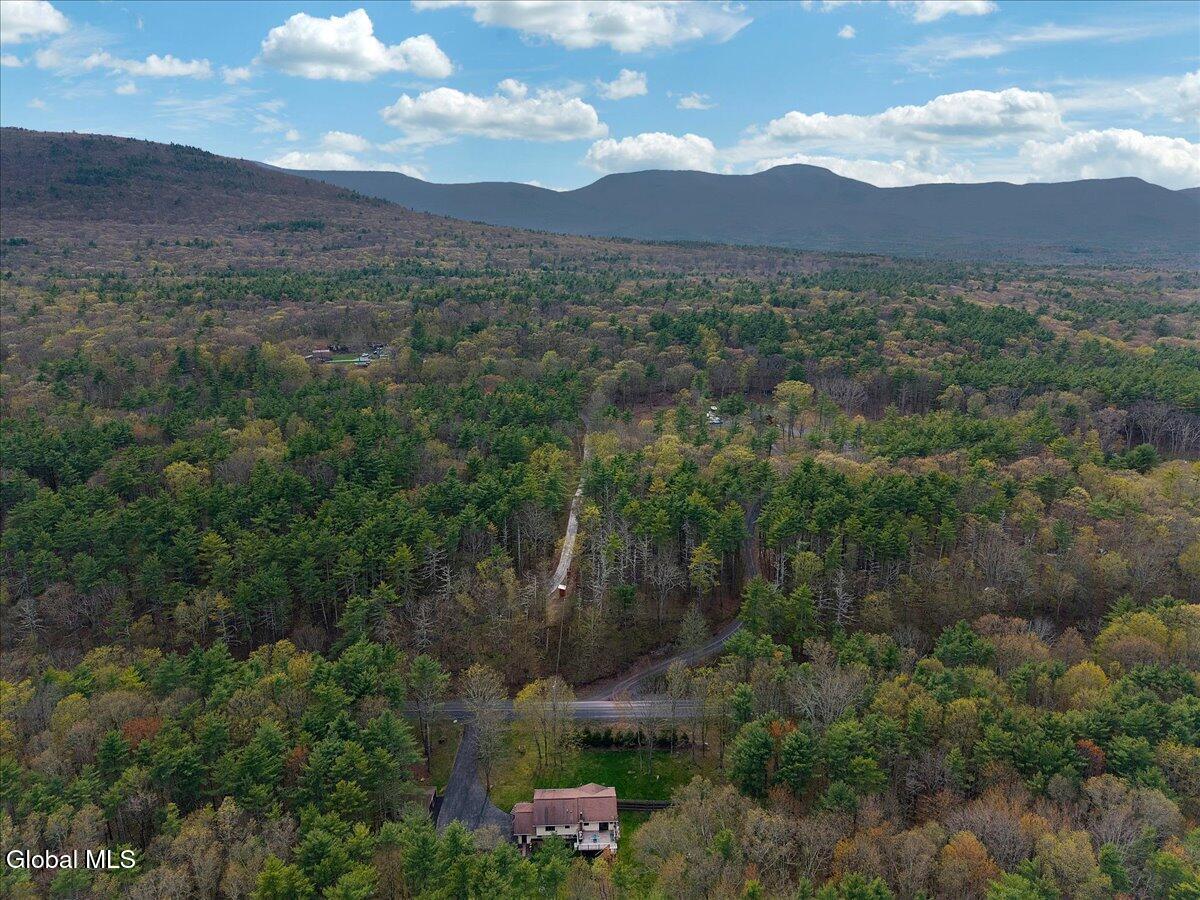 478 Joel M Austin Road Purling NY 12413