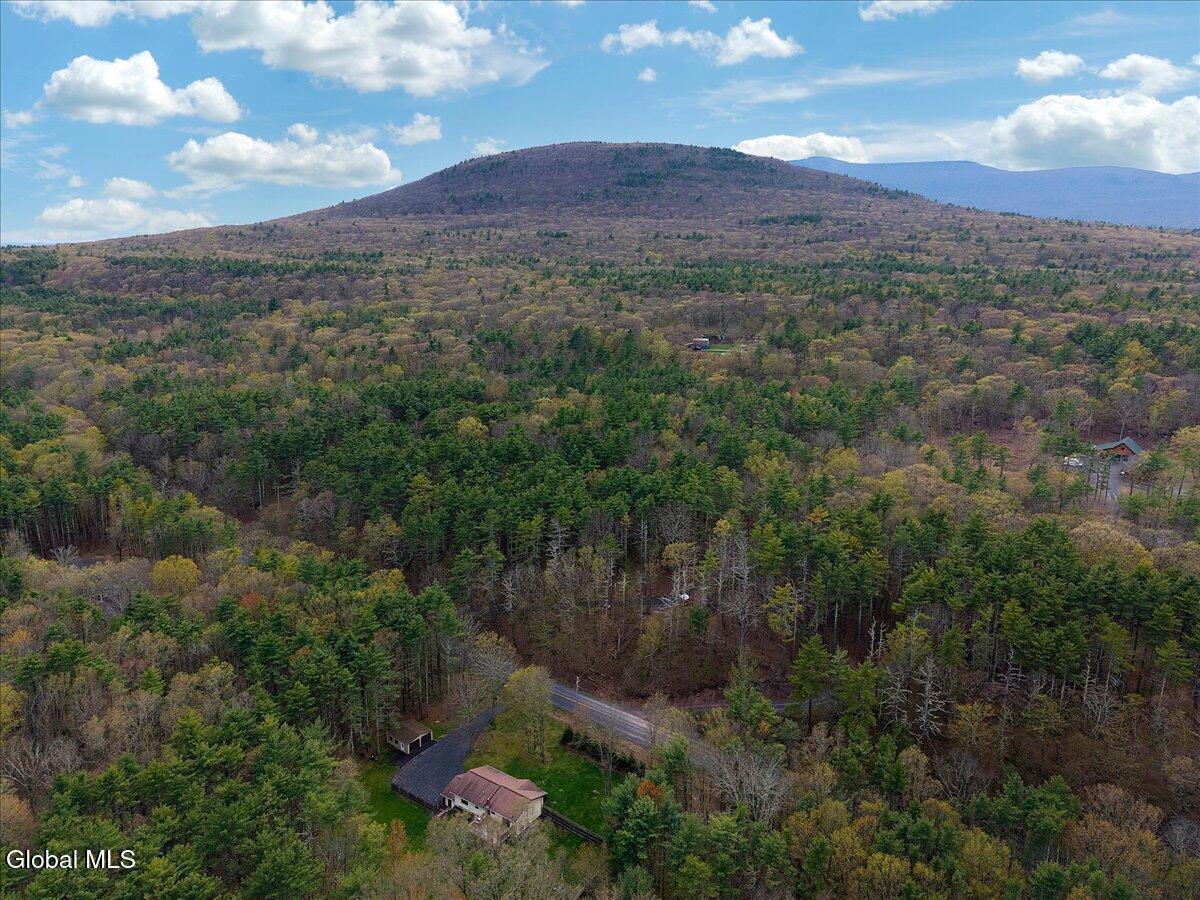 478 Joel M Austin Road Purling NY 12413
