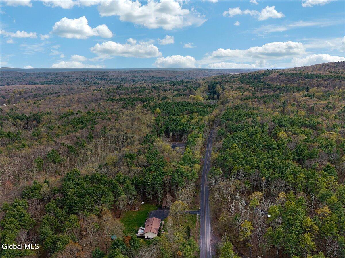 478 Joel M Austin Road Purling NY 12413