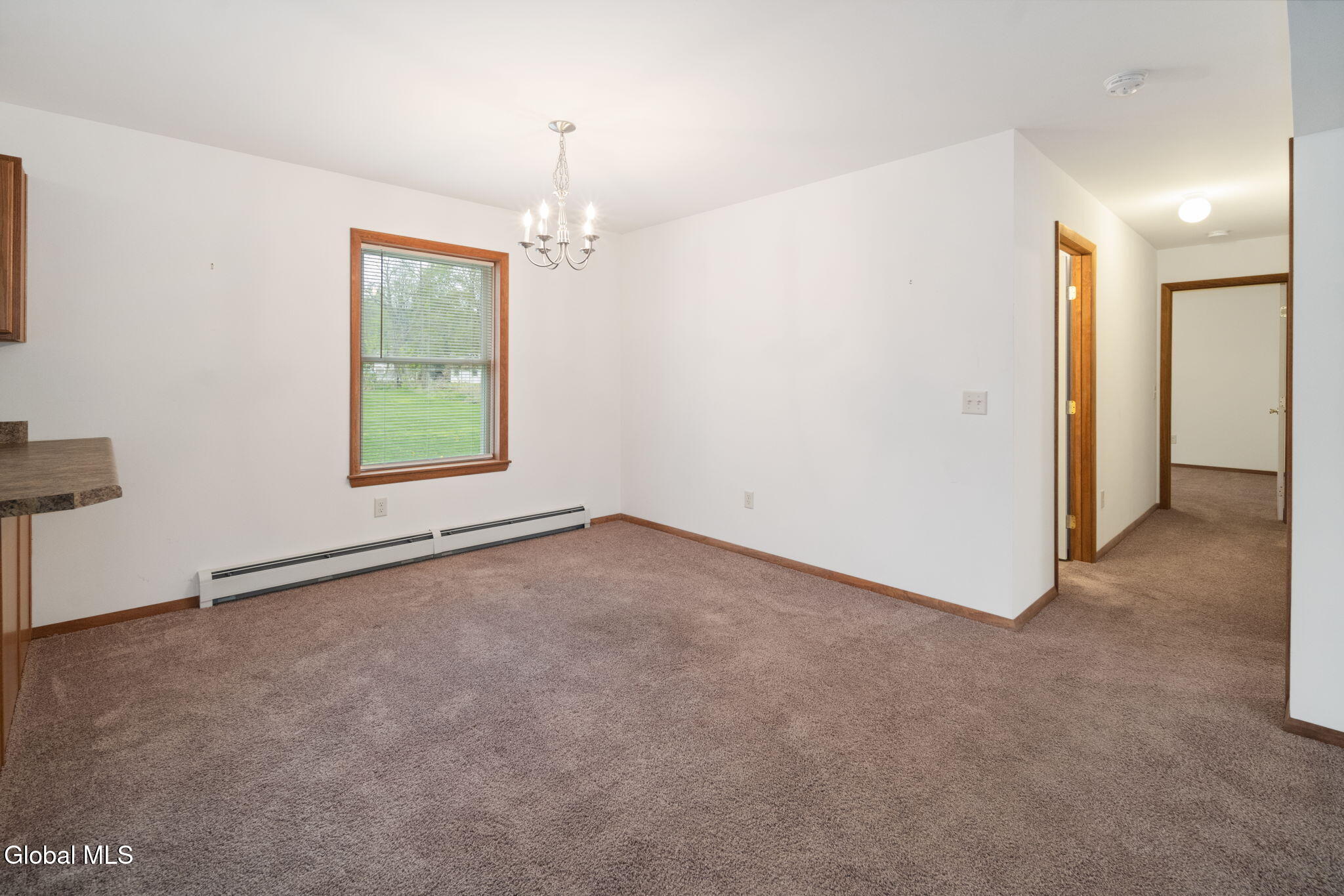 118 Cliff Street Middleburgh NY 12122