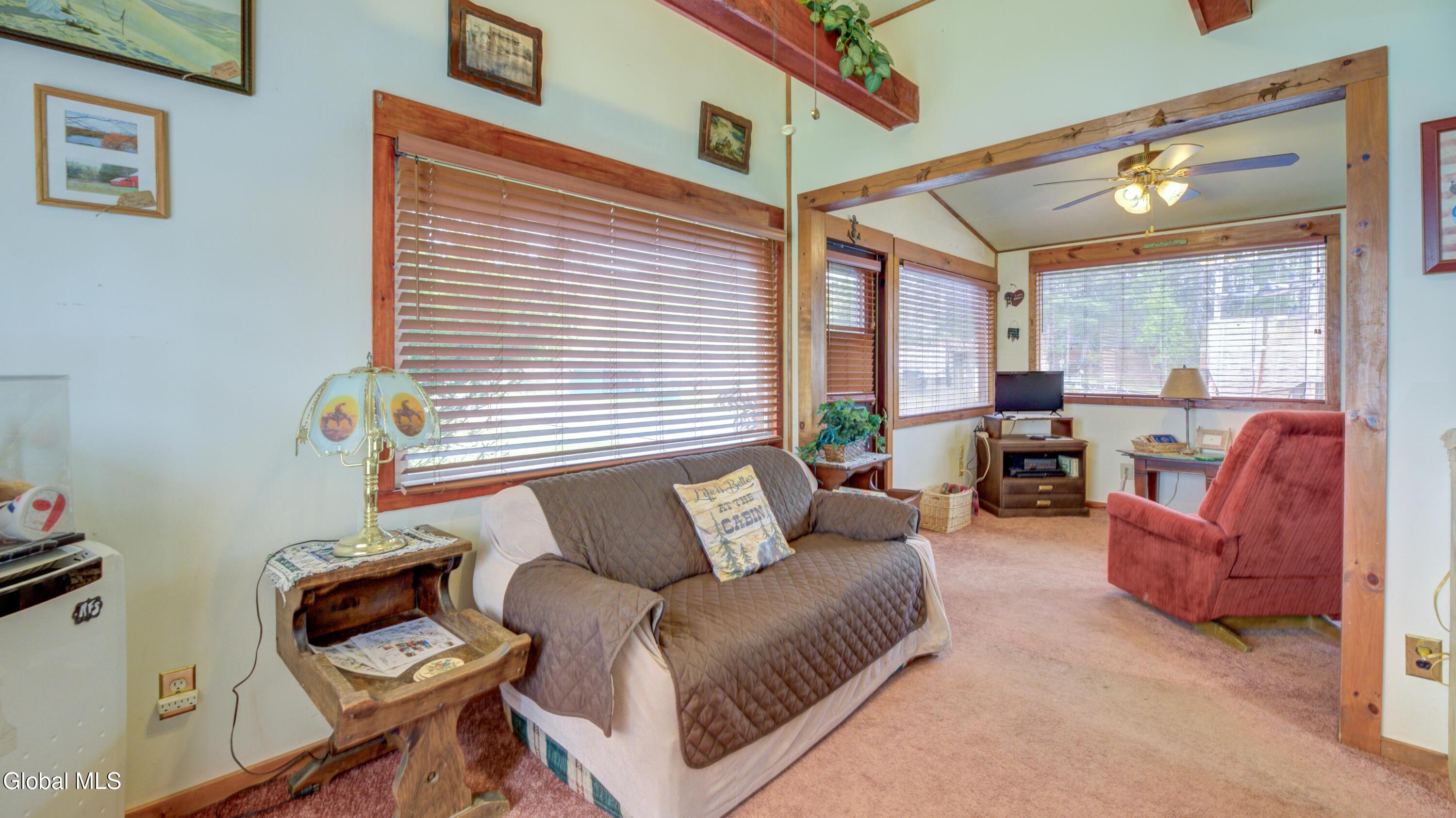 111 Algonquin Drive Wells NY 12190