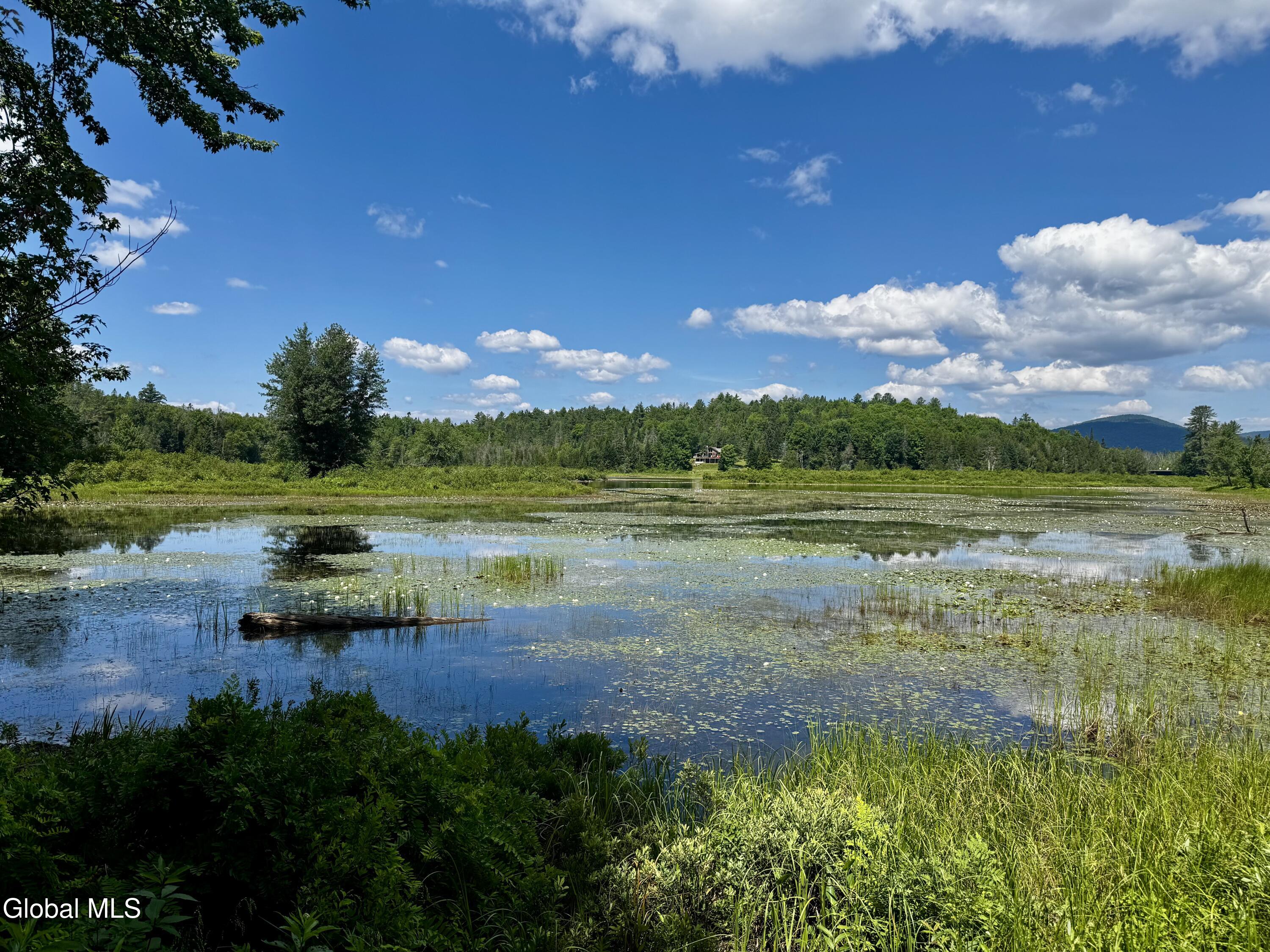 54 Chaisson Road Newcomb NY 12852