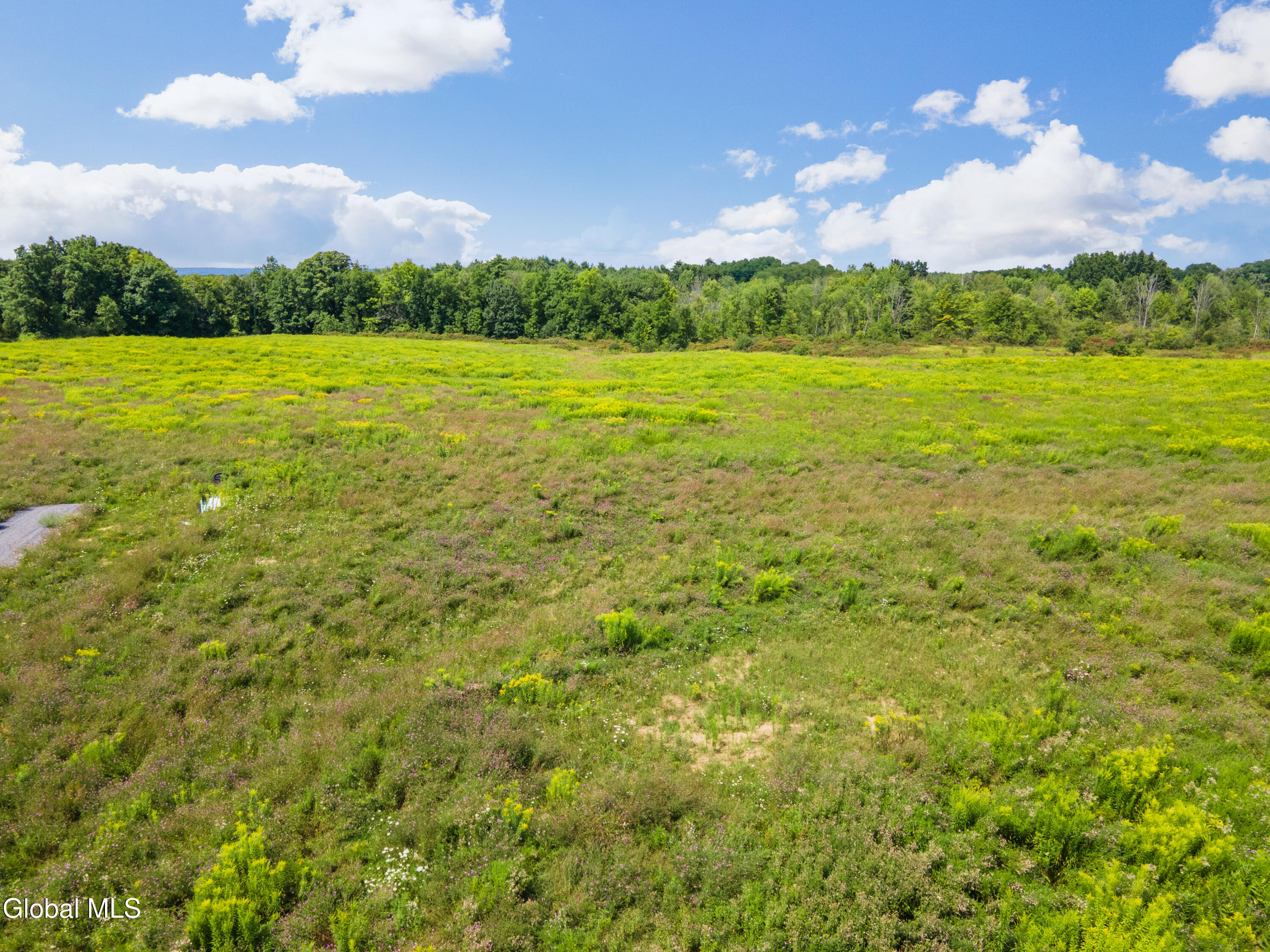 2227 W Old State Road Altamont NY 12009