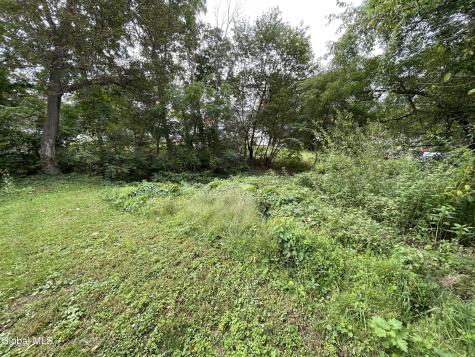 31 Mountain Street Whitehall NY 12887