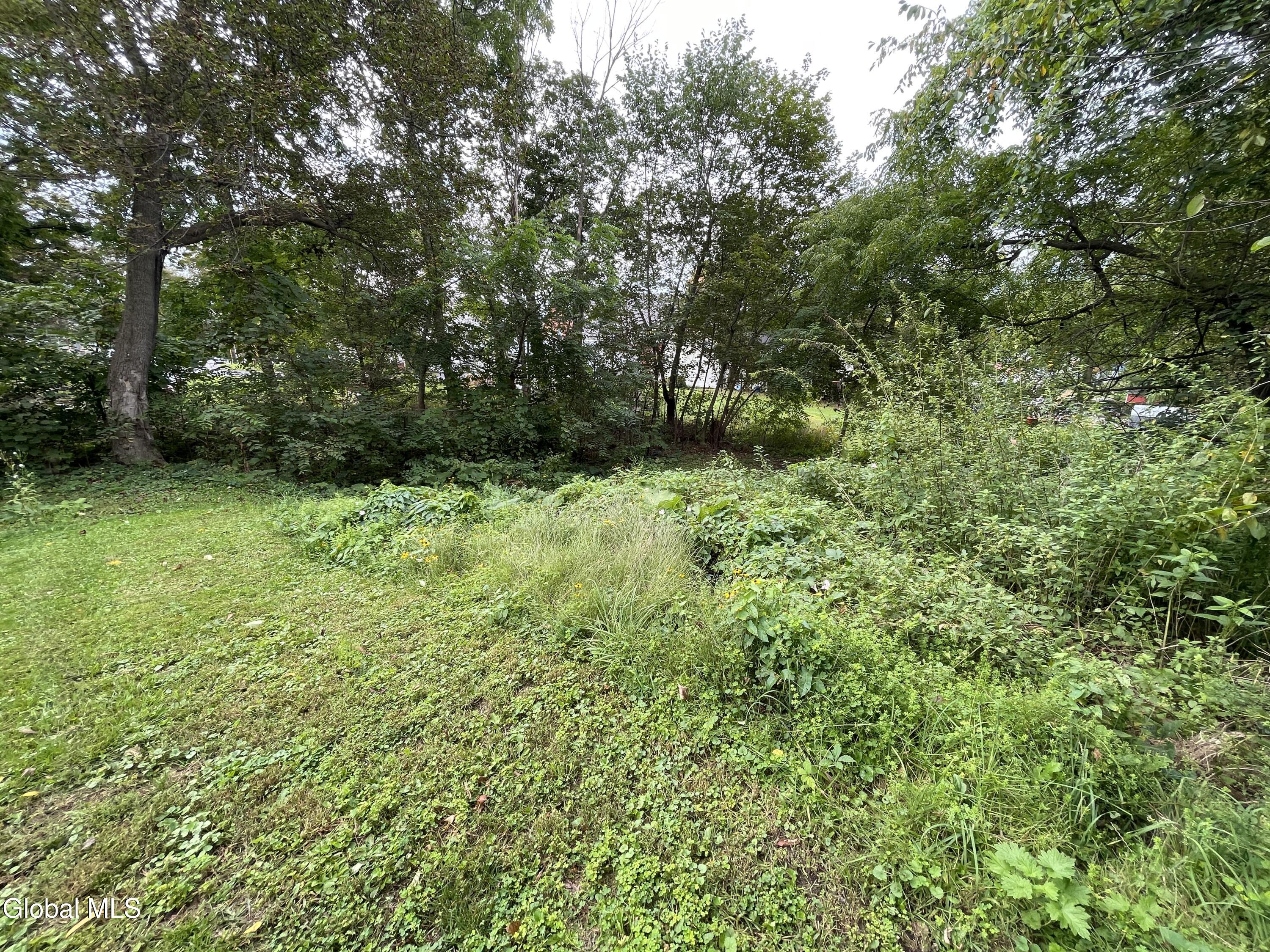 31 Mountain Street Whitehall NY 12887