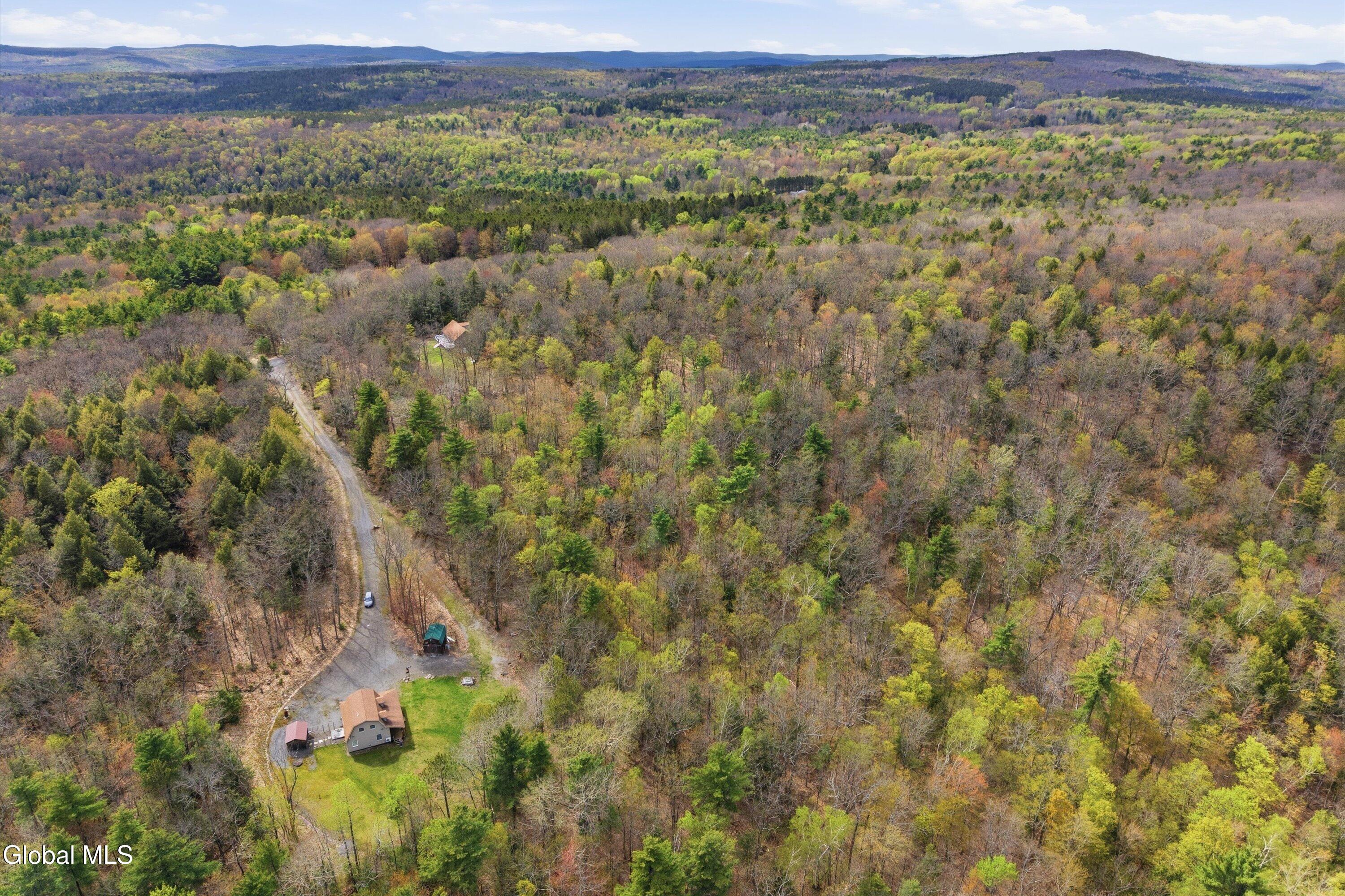 400 Greenbush Hill Road Warnerville NY 12187