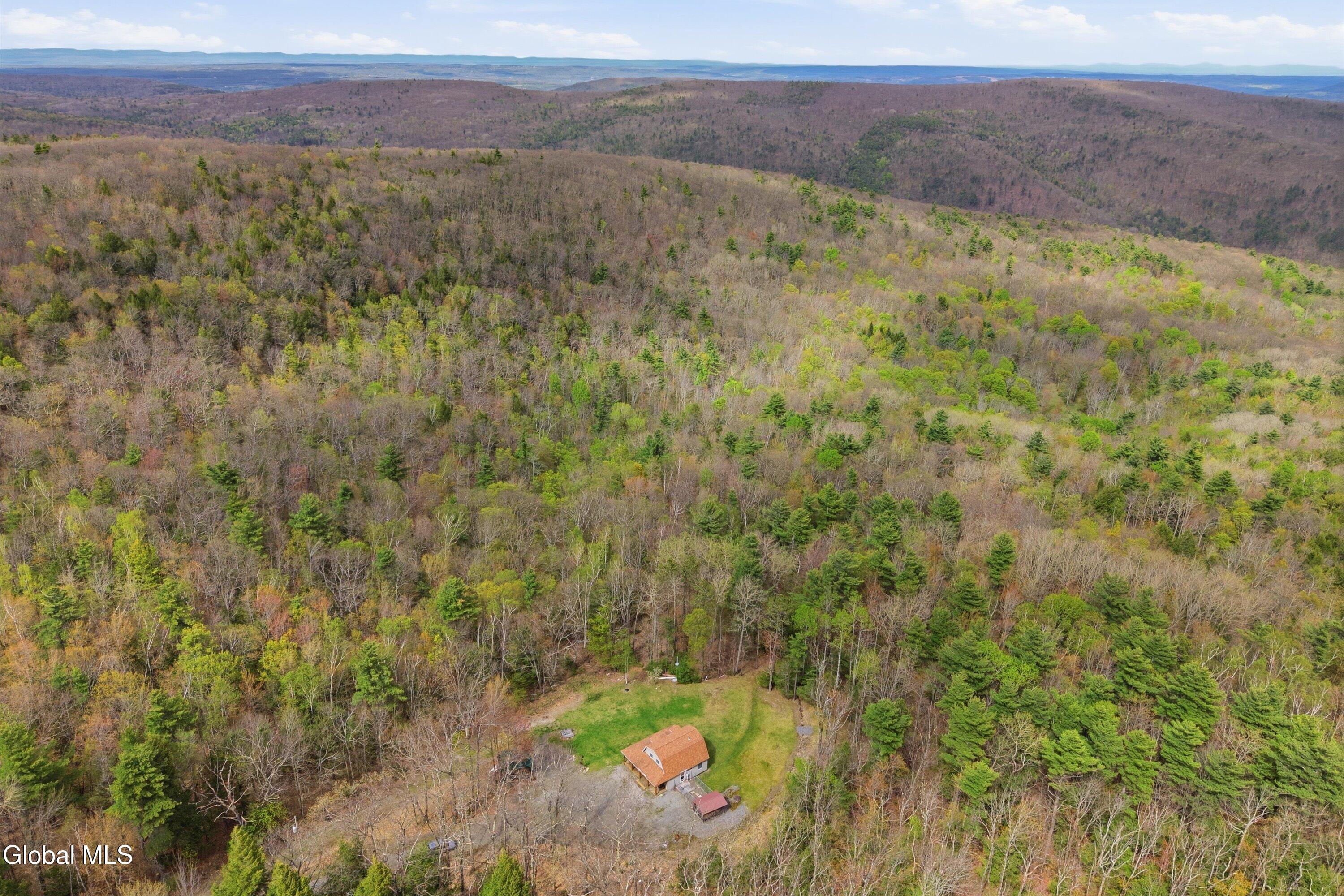 400 Greenbush Hill Road Warnerville NY 12187