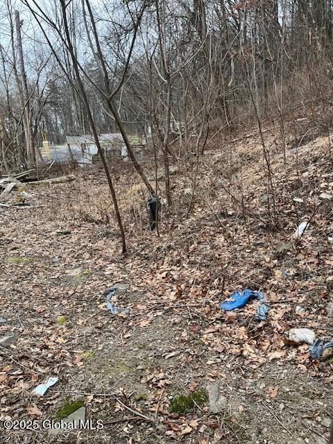 711 Vedder Mountain Road Catskill NY 12414