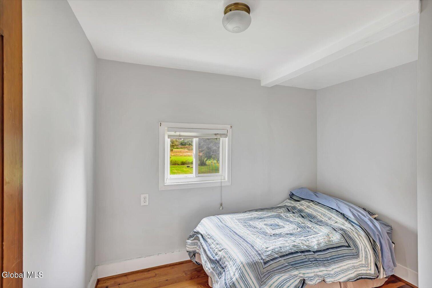 982 County Road 401 Westerlo NY 12193