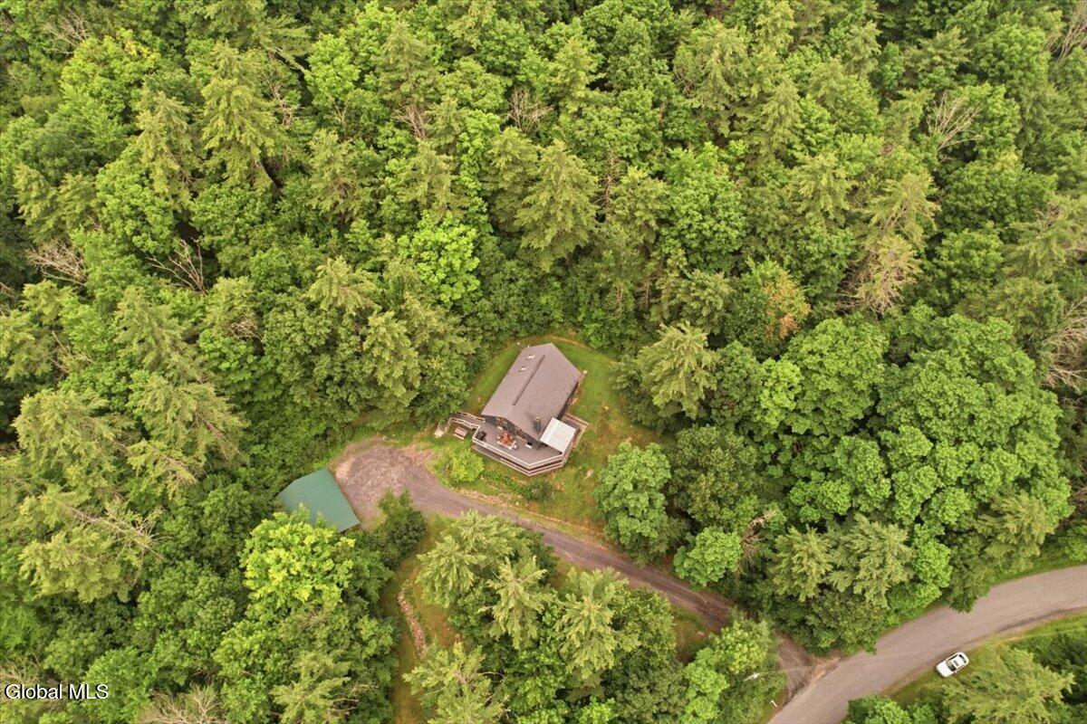 283 Ave Of The Stars North Blenheim NY 12131