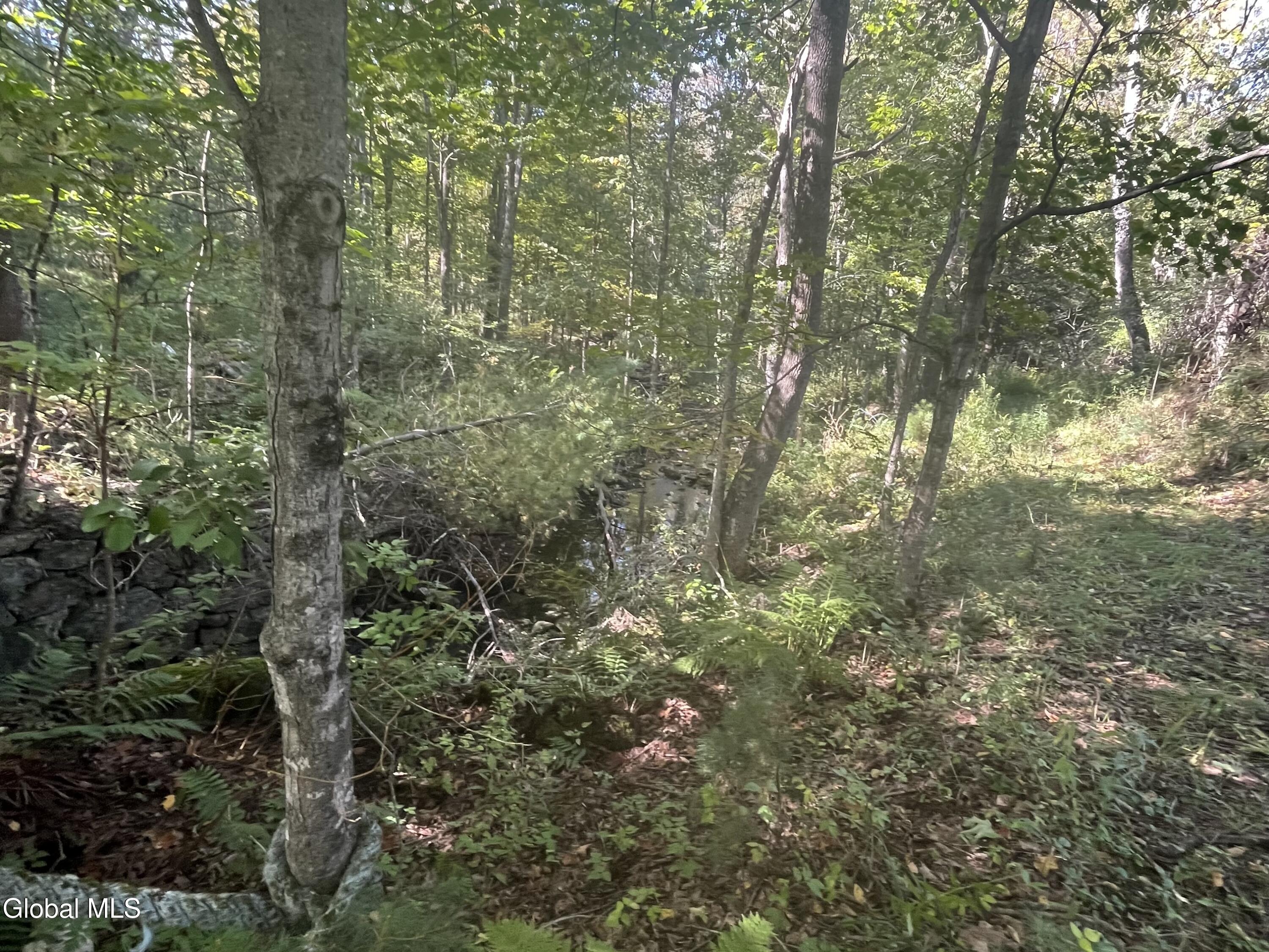 675 Creek Road Crown Point NY 12928