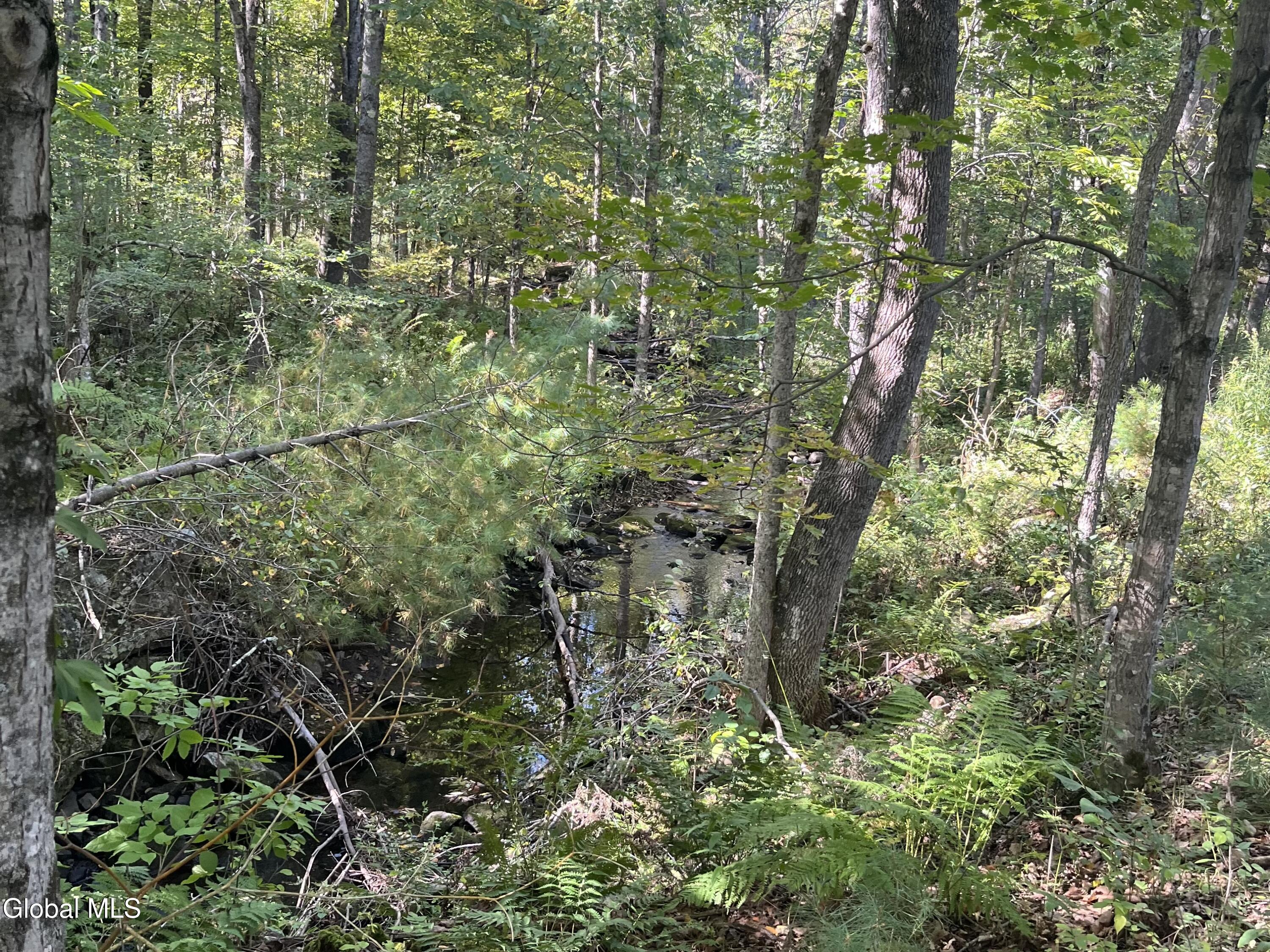 675 Creek Road Crown Point NY 12928