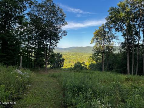 68 Red Gate Lane Shushan NY 12873