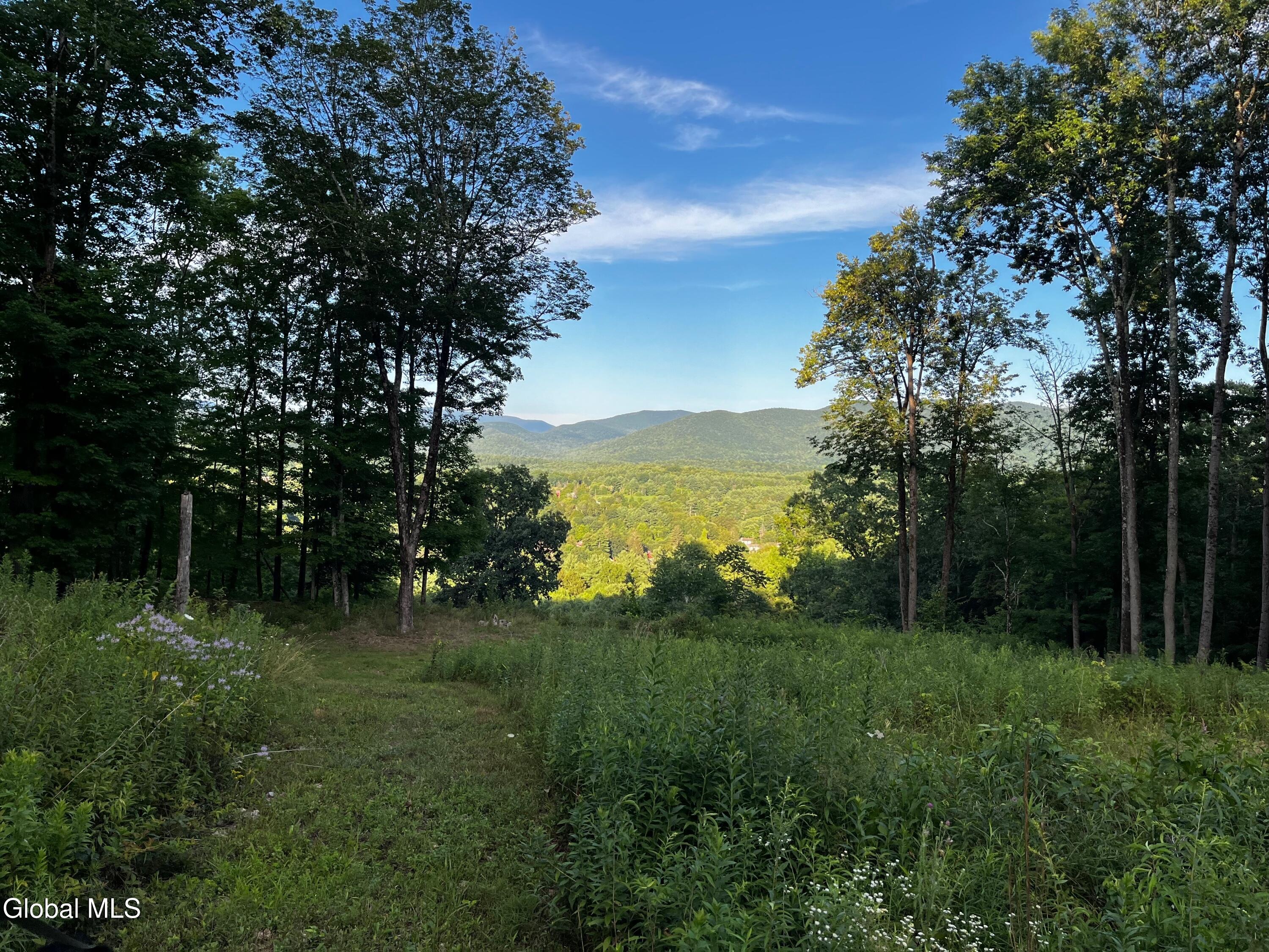 68 Red Gate Lane Shushan NY 12873