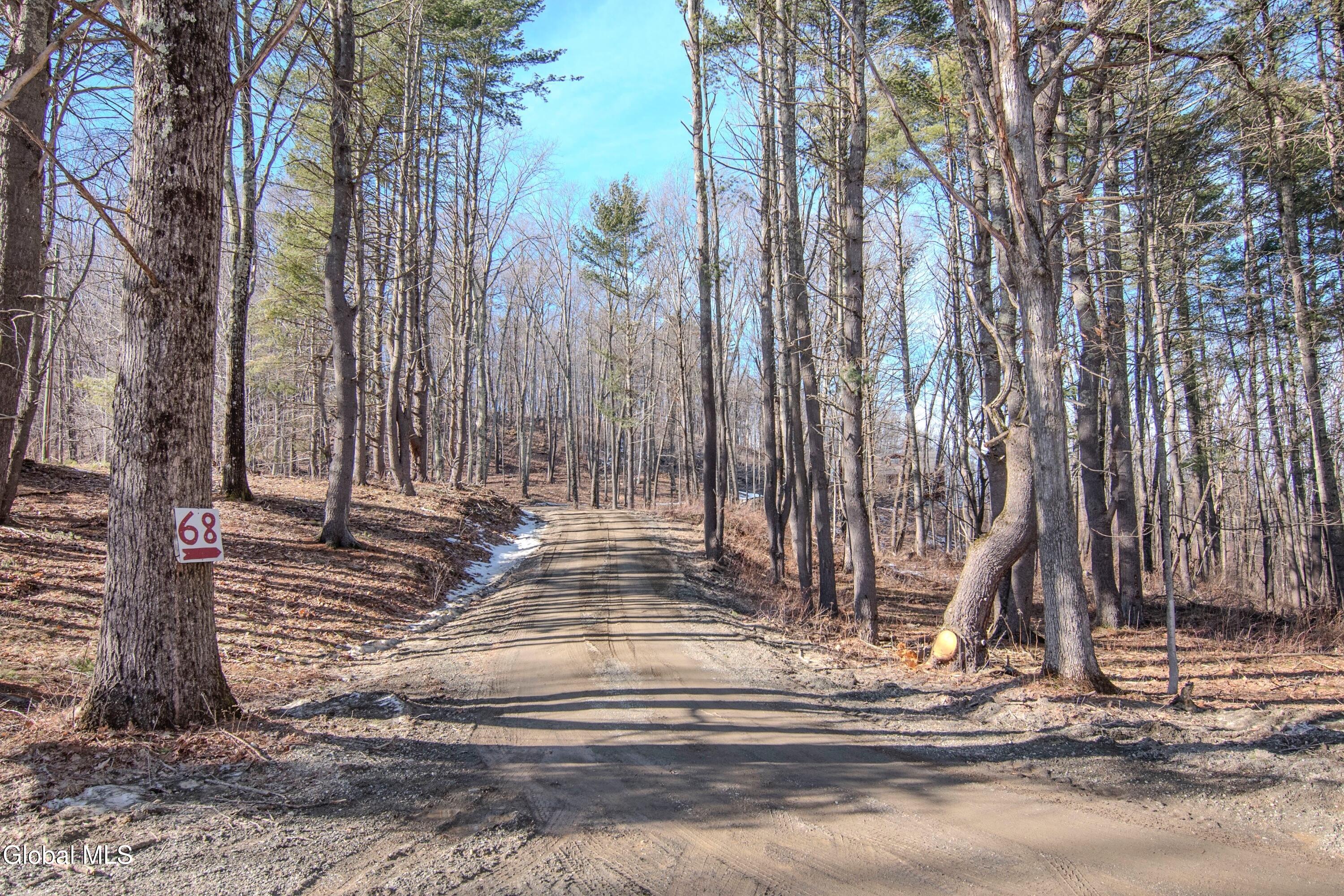 68 Red Gate Lane Shushan NY 12873