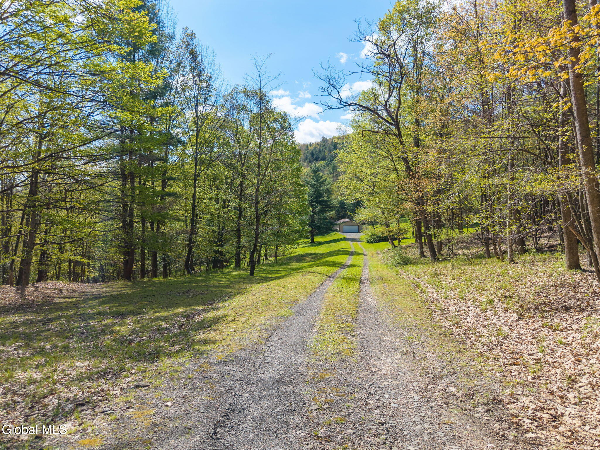 105 Patent Lane Schoharie NY 12157