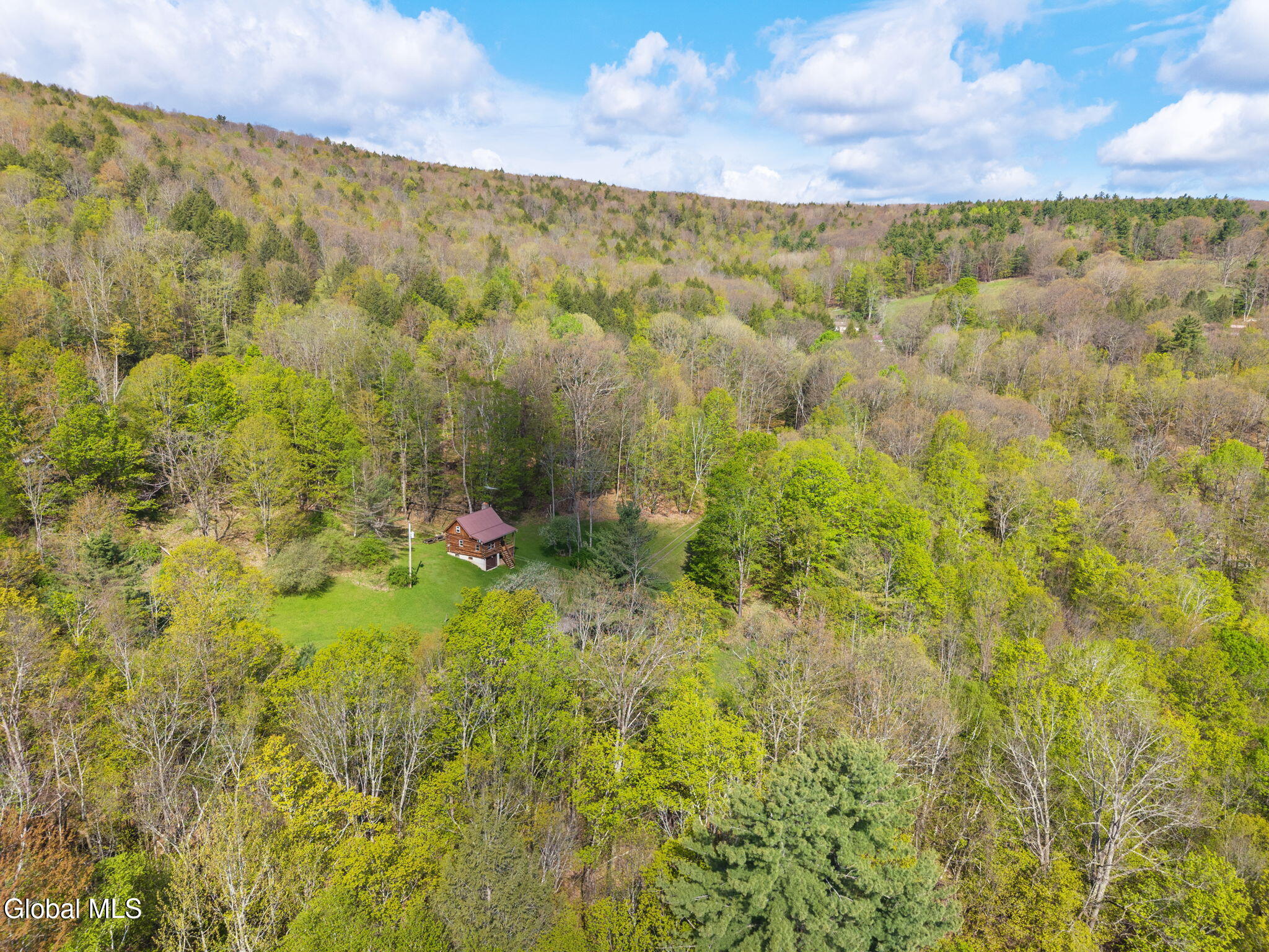 105 Patent Lane Schoharie NY 12157