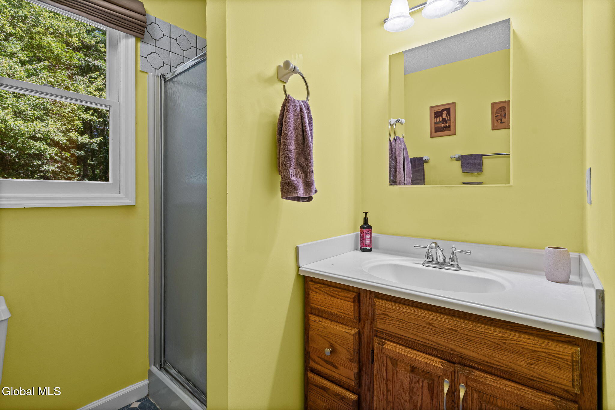 52 Rolling Hills Drive Gansevoort NY 12831