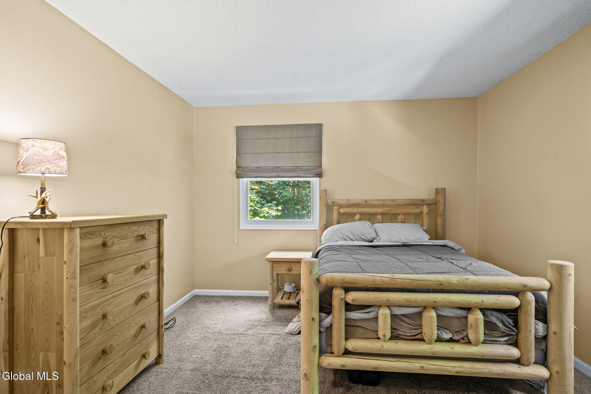 52 Rolling Hills Drive Gansevoort NY 12831