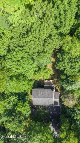 52 Rolling Hills Drive Gansevoort NY 12831