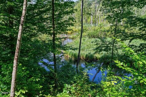 52 Rolling Hills Drive Gansevoort NY 12831