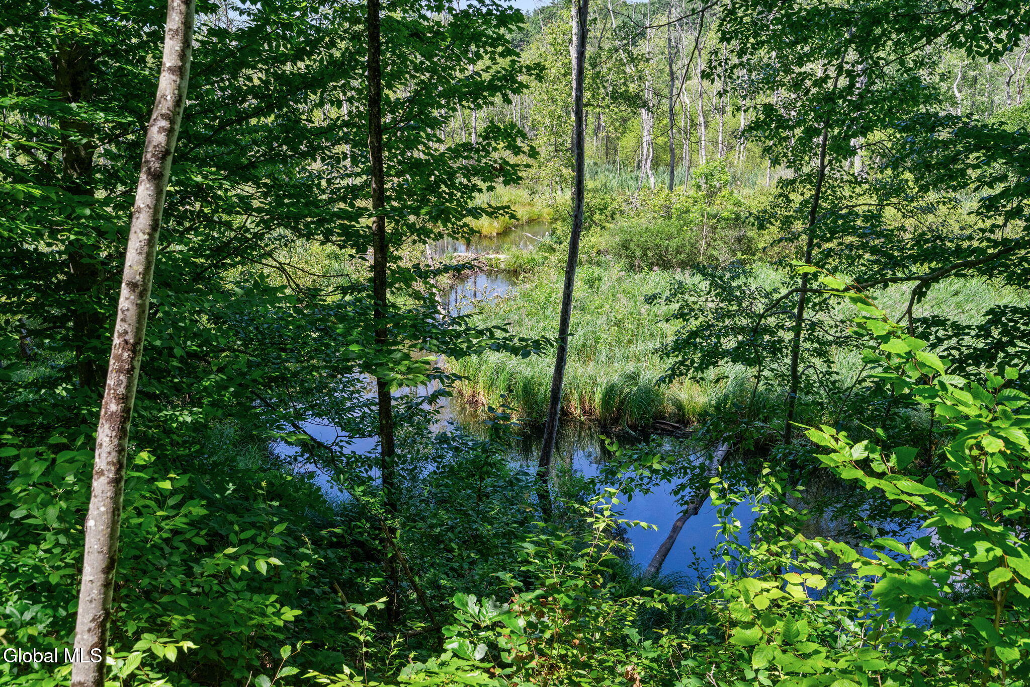 52 Rolling Hills Drive Gansevoort NY 12831