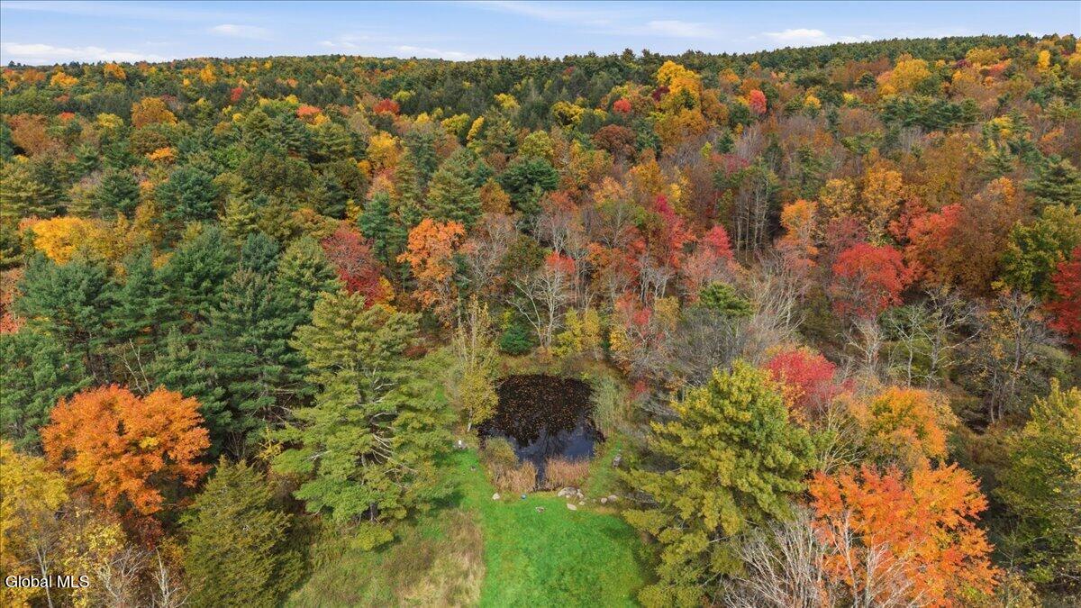 146 Finch Road Climax NY 12051