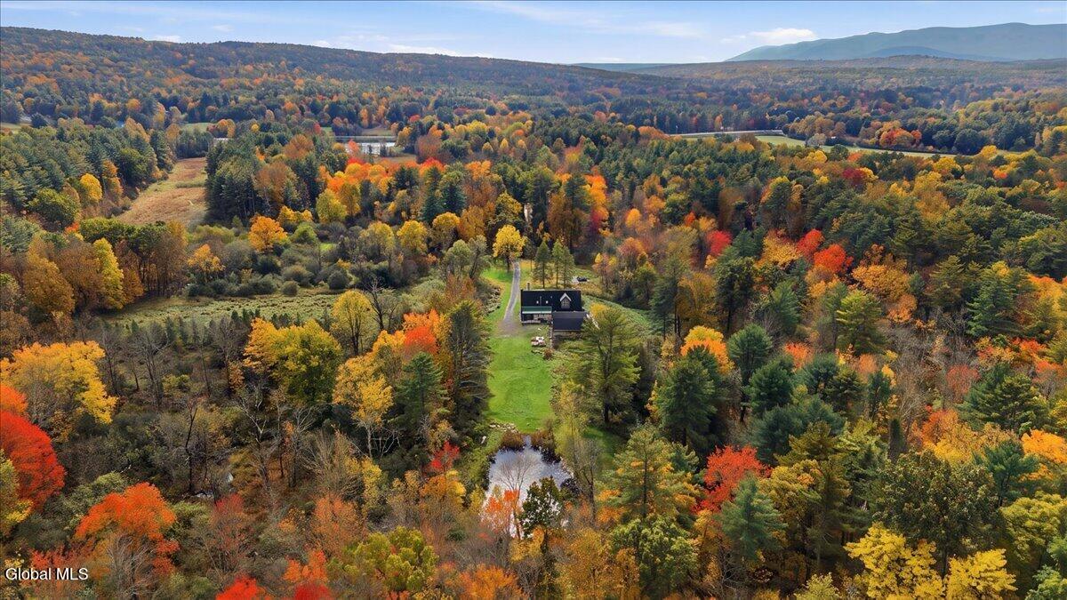 146 Finch Road Climax NY 12051