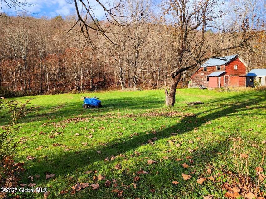 105 Vintonton Road Warnerville NY 12194