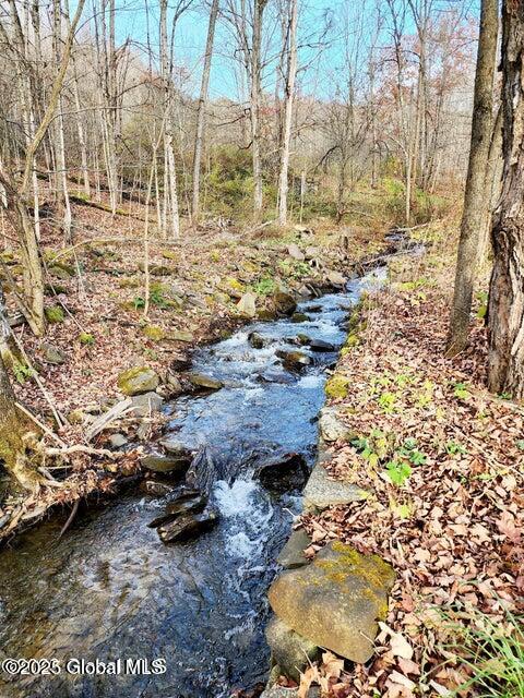 105 Vintonton Road Warnerville NY 12194