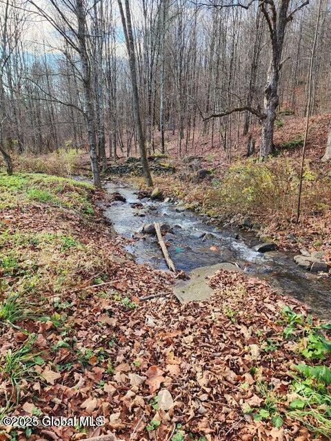 105 Vintonton Road Warnerville NY 12194