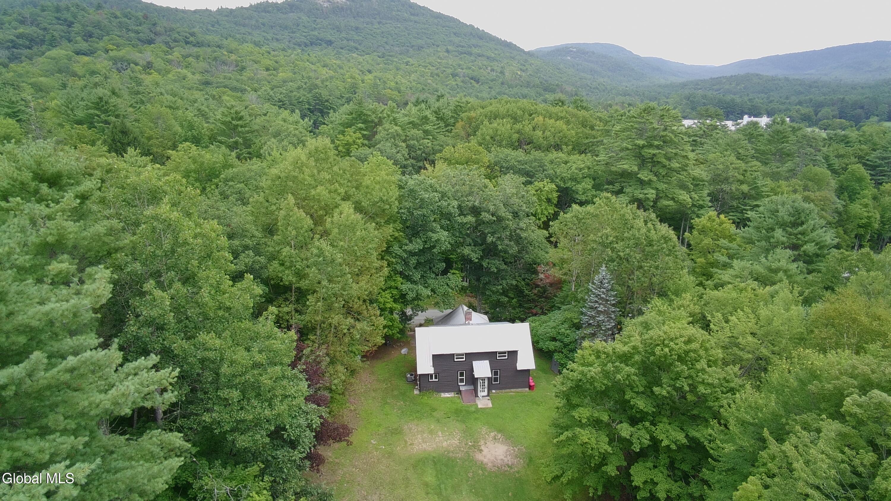 668 Beaver Pond Road Brant Lake NY 12815