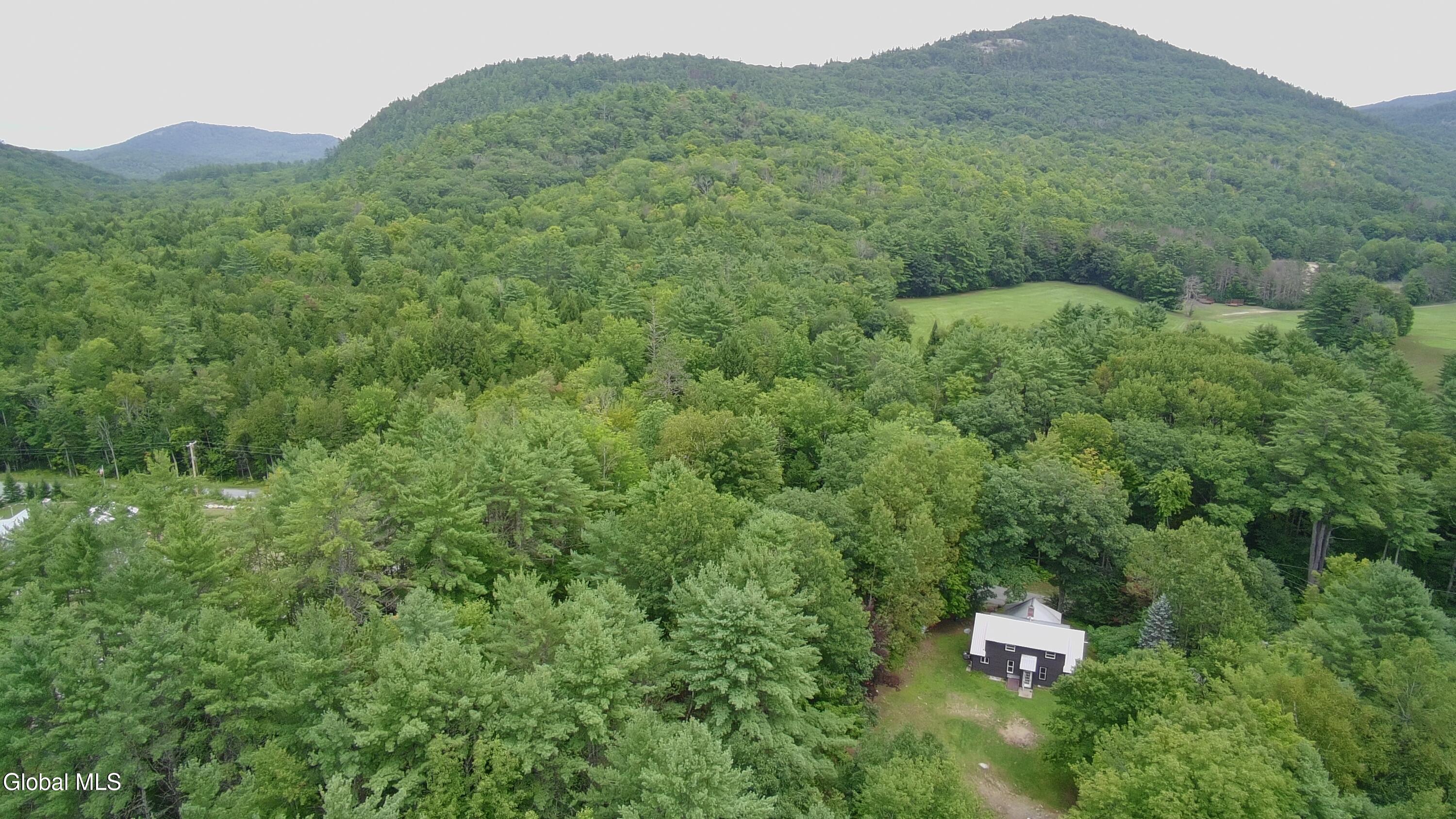 668 Beaver Pond Road Brant Lake NY 12815